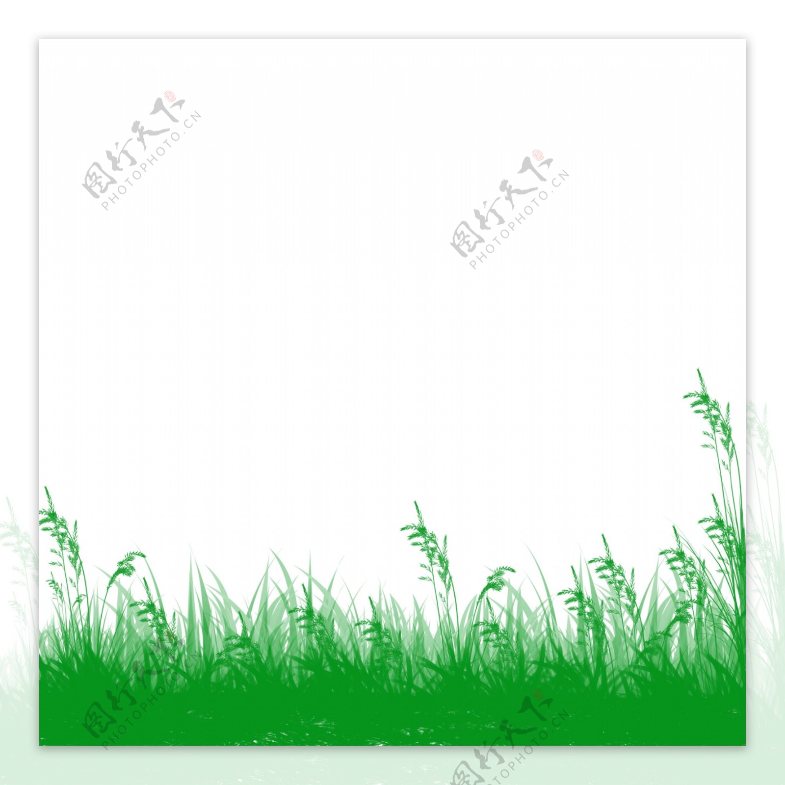 绿色草坪草地草原