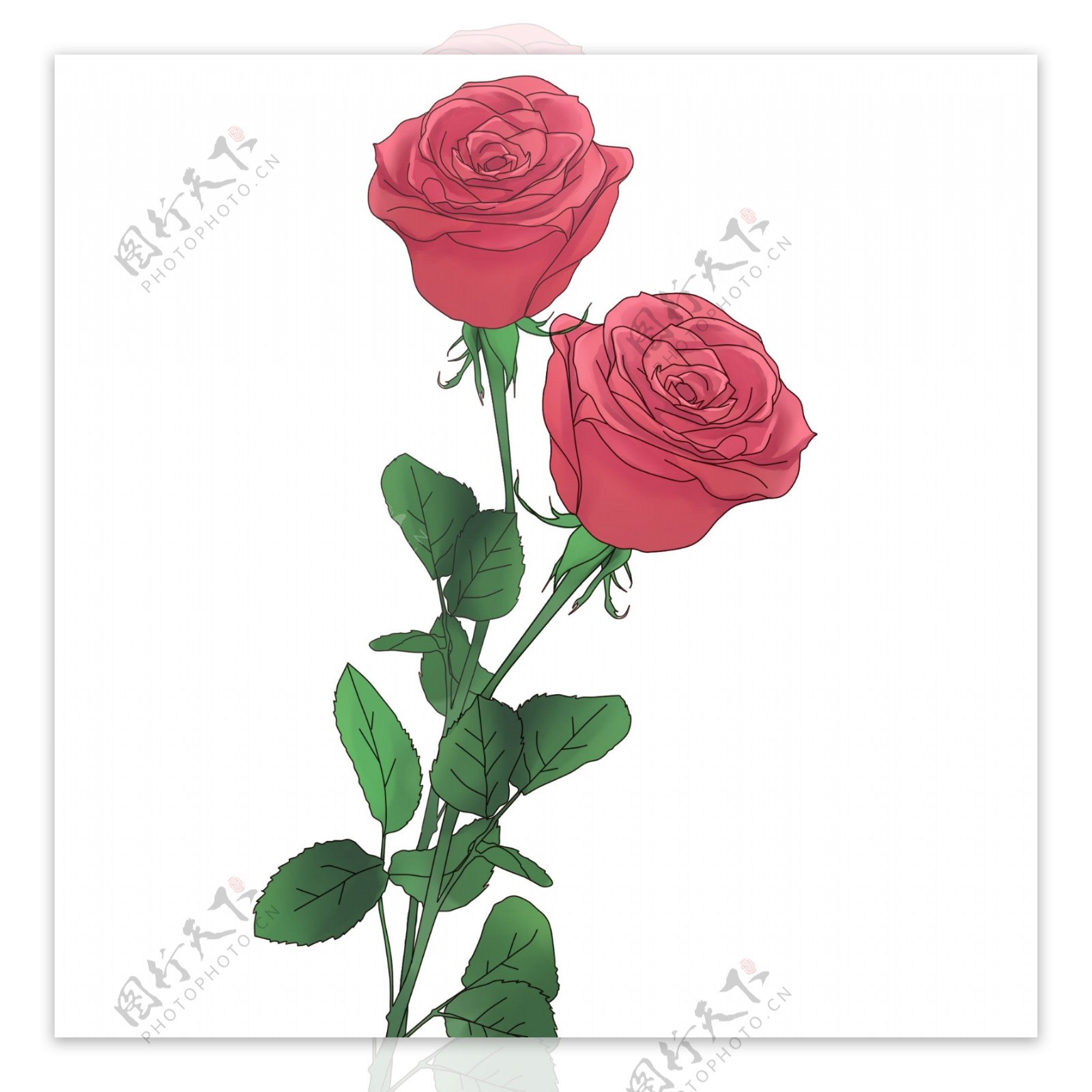 手绘唯美玫瑰花元素