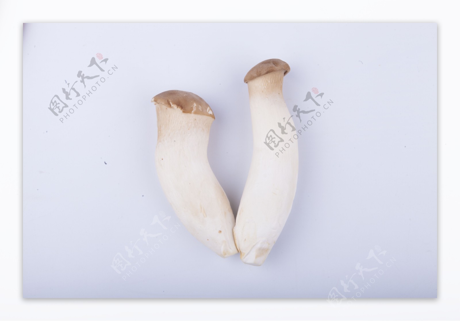 实物图摄影图蔬菜鸡腿菇