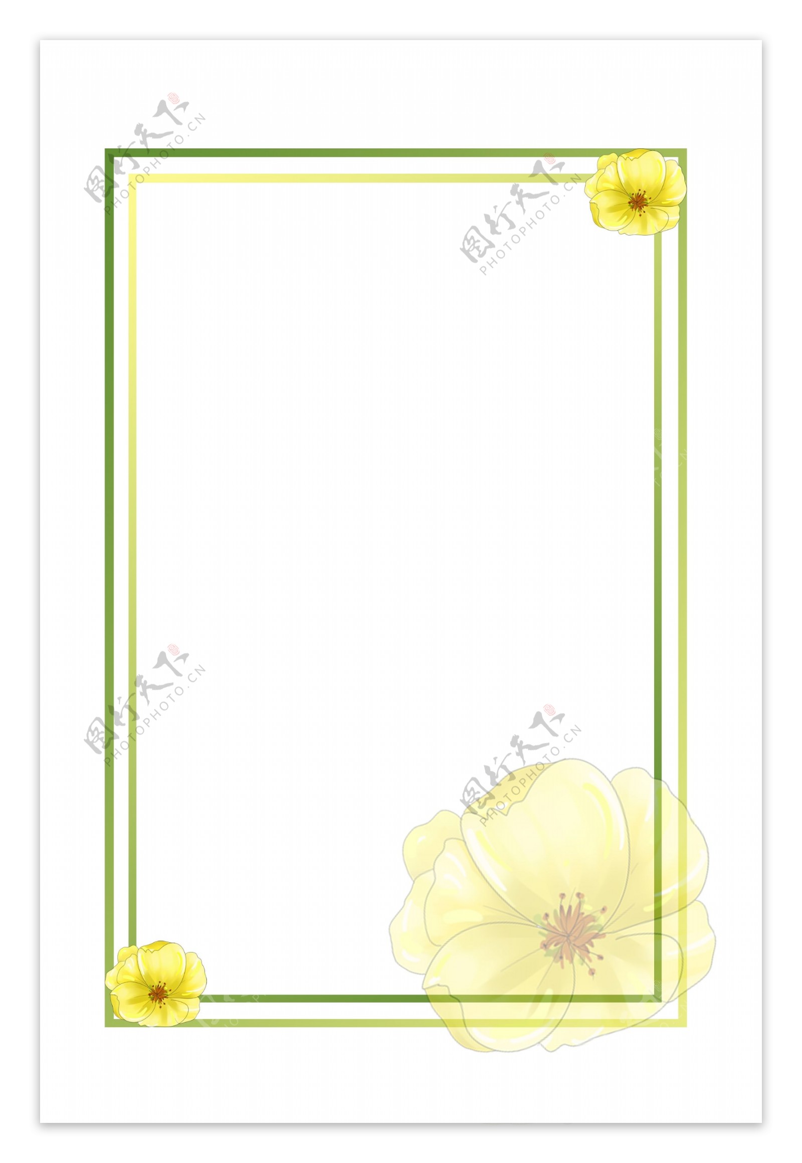 植物边框花卉边框装饰手绘边框