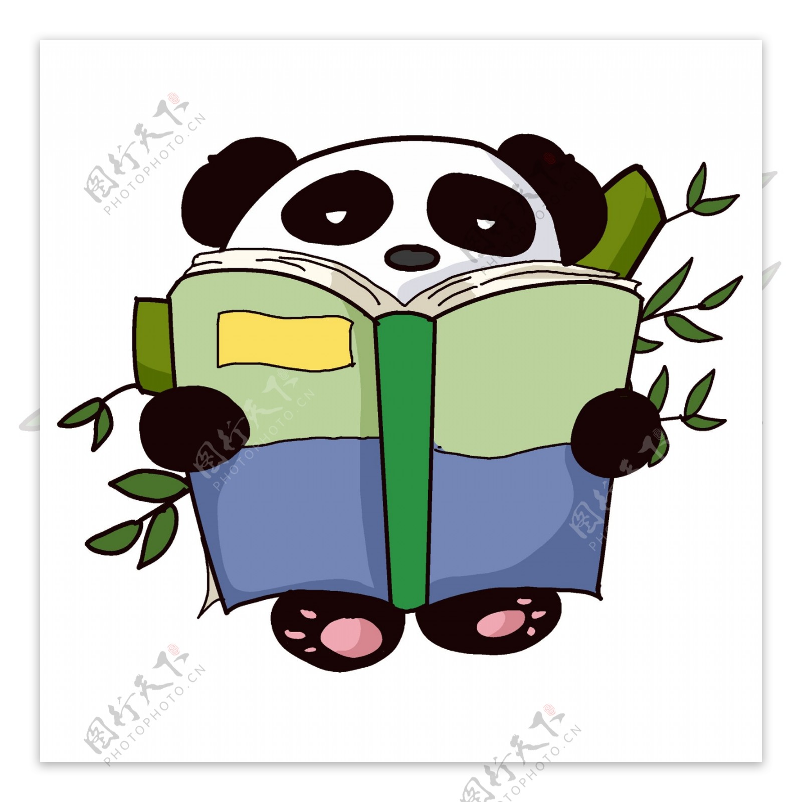 正在读书的大熊猫