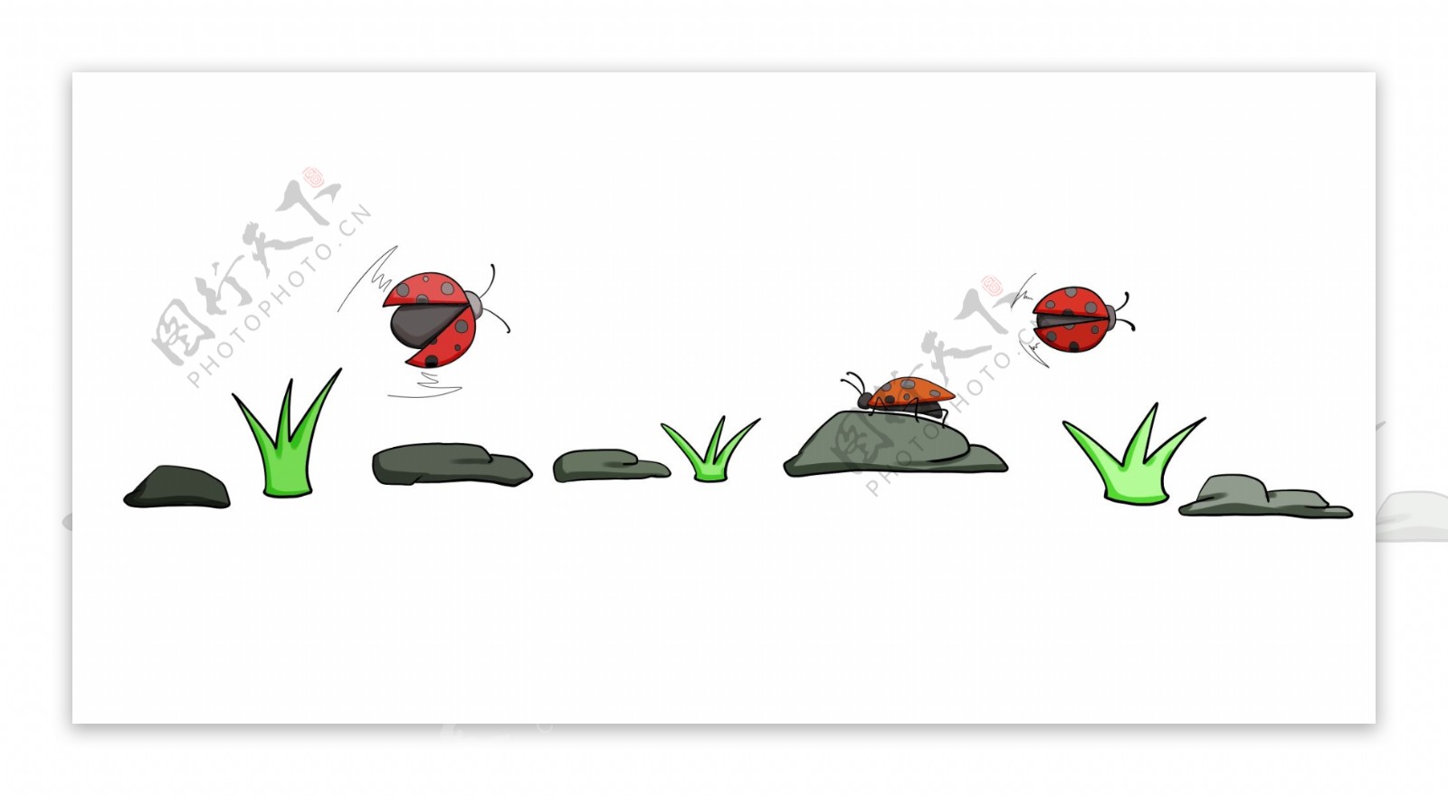 瓢虫植物分割线插画