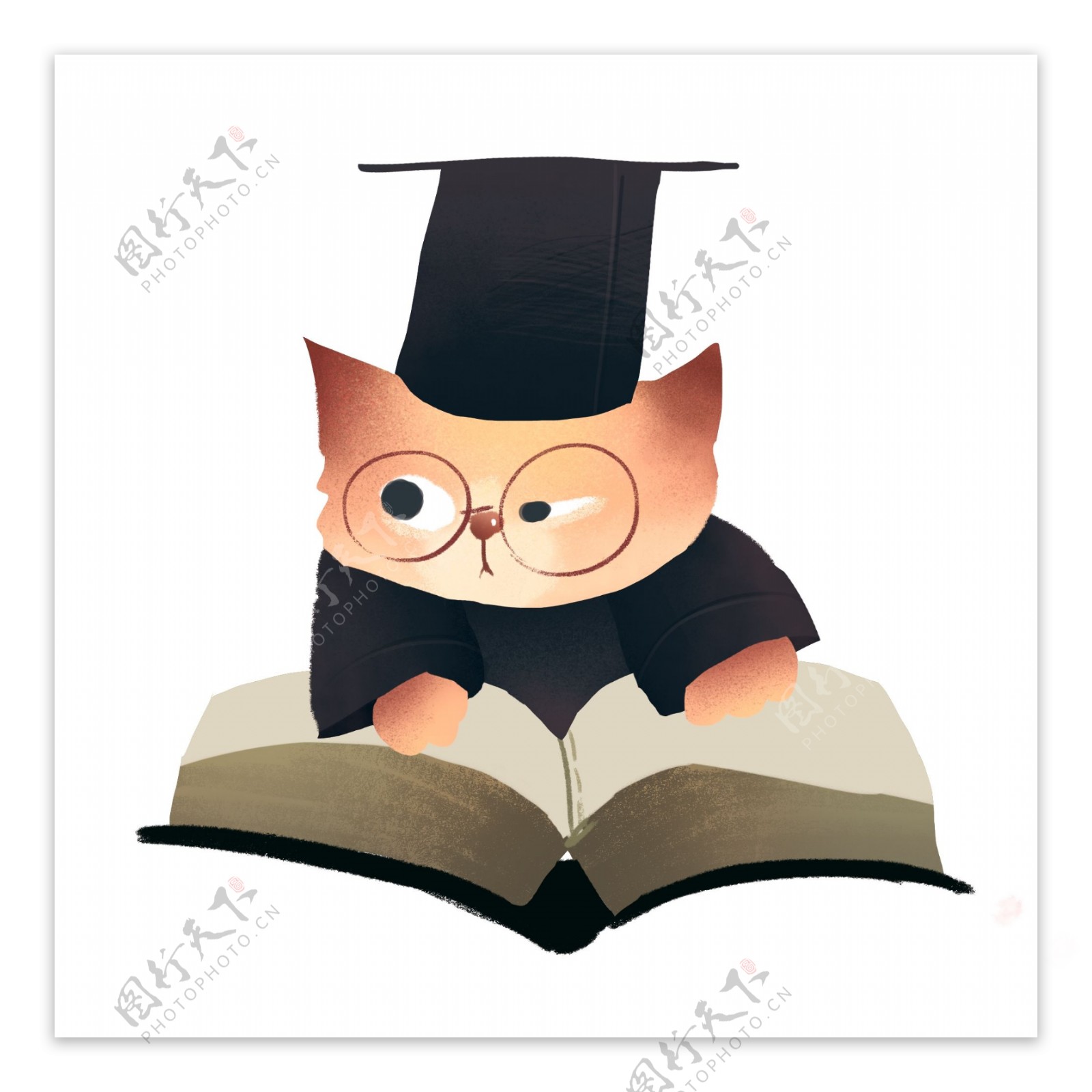 正在看书的猫咪可爱插画png