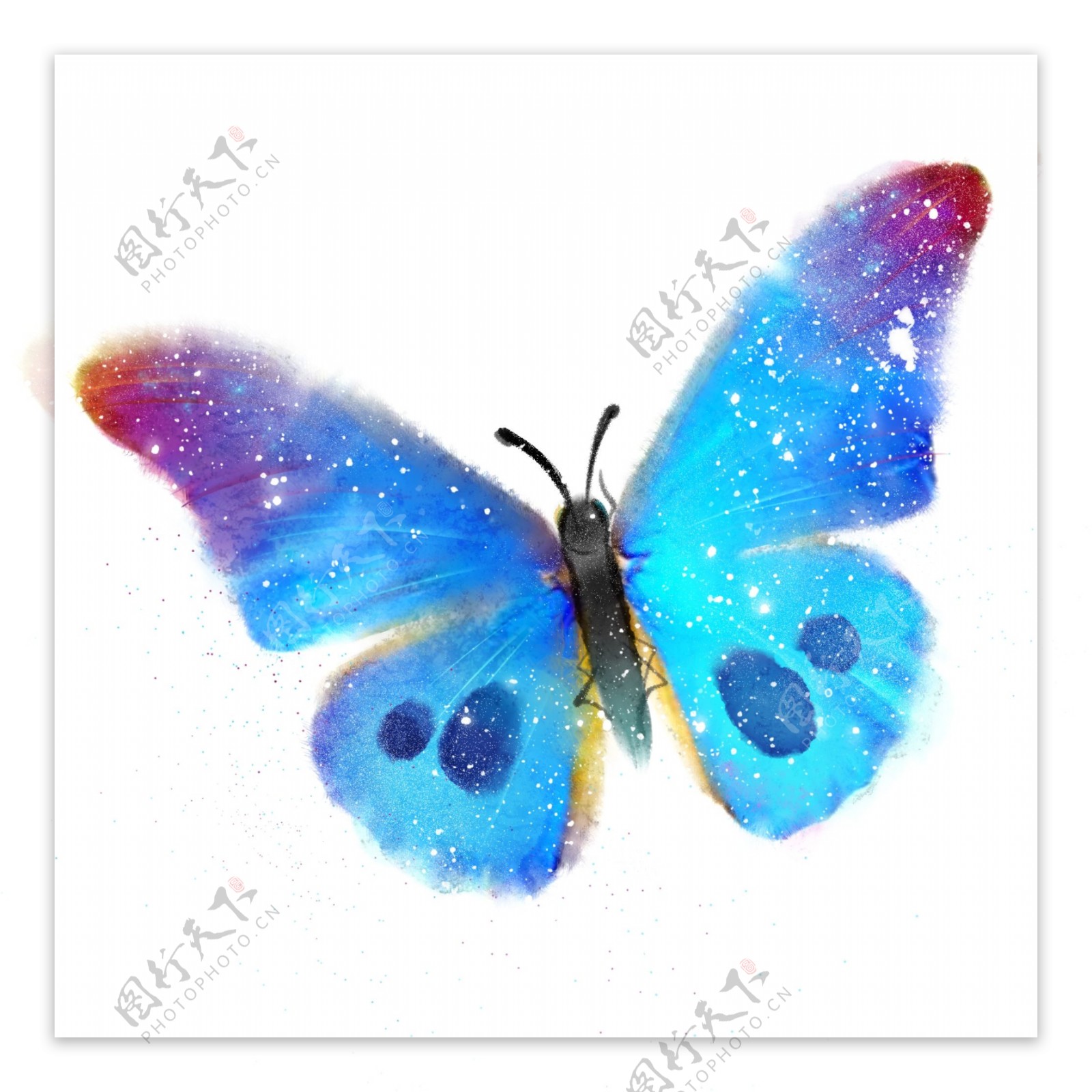 水彩风格手绘蓝色蝴蝶花蝴蝶斑点昆虫子梦幻