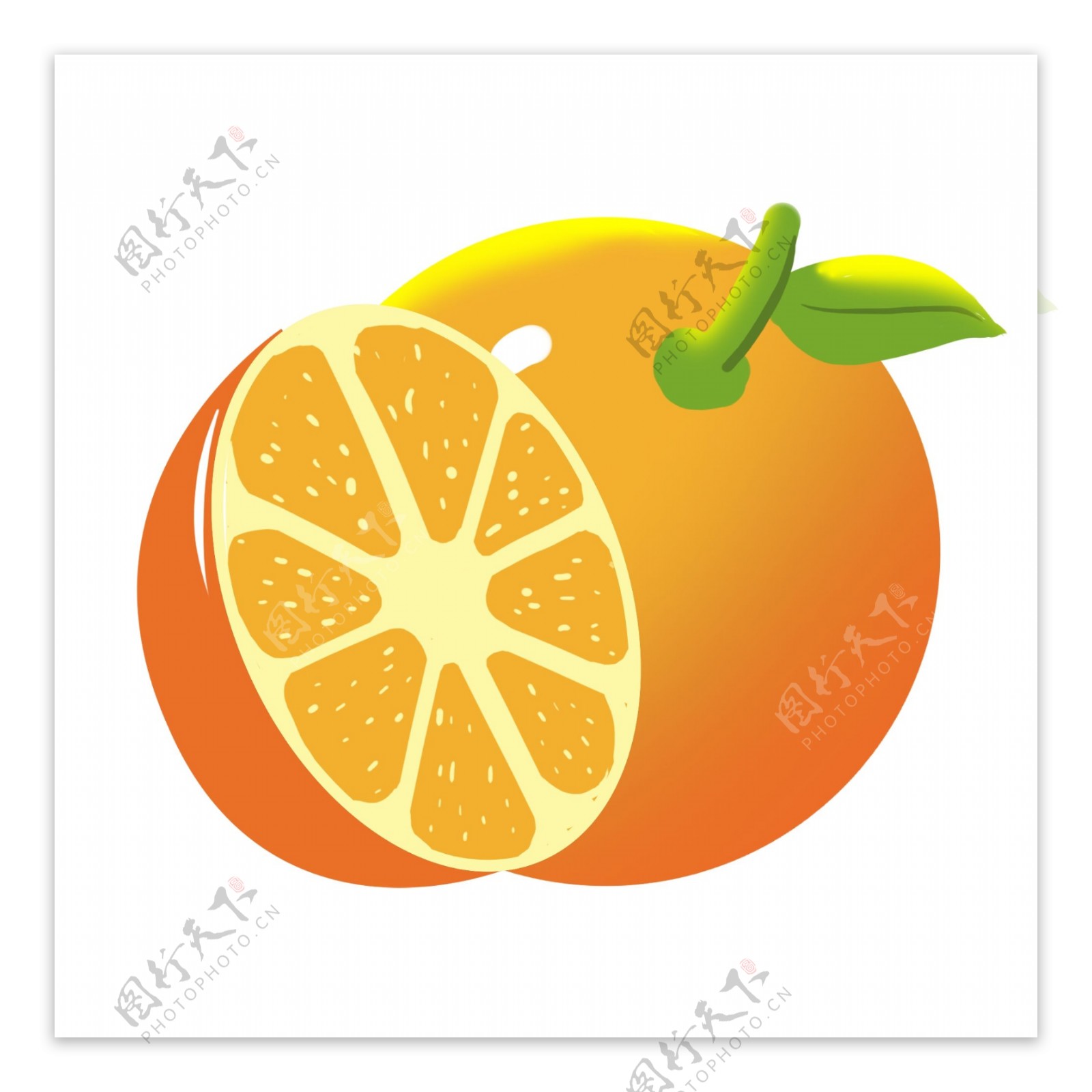 新鲜黄色橙子插画