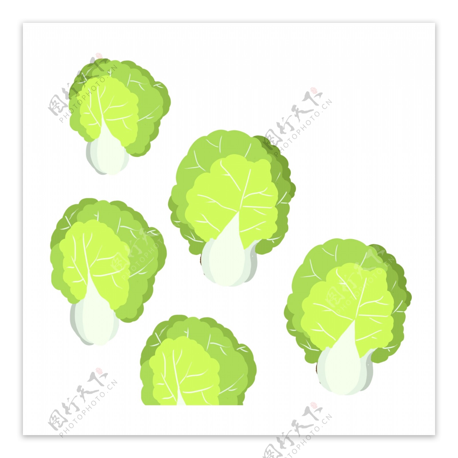 绿色白菜简约图案