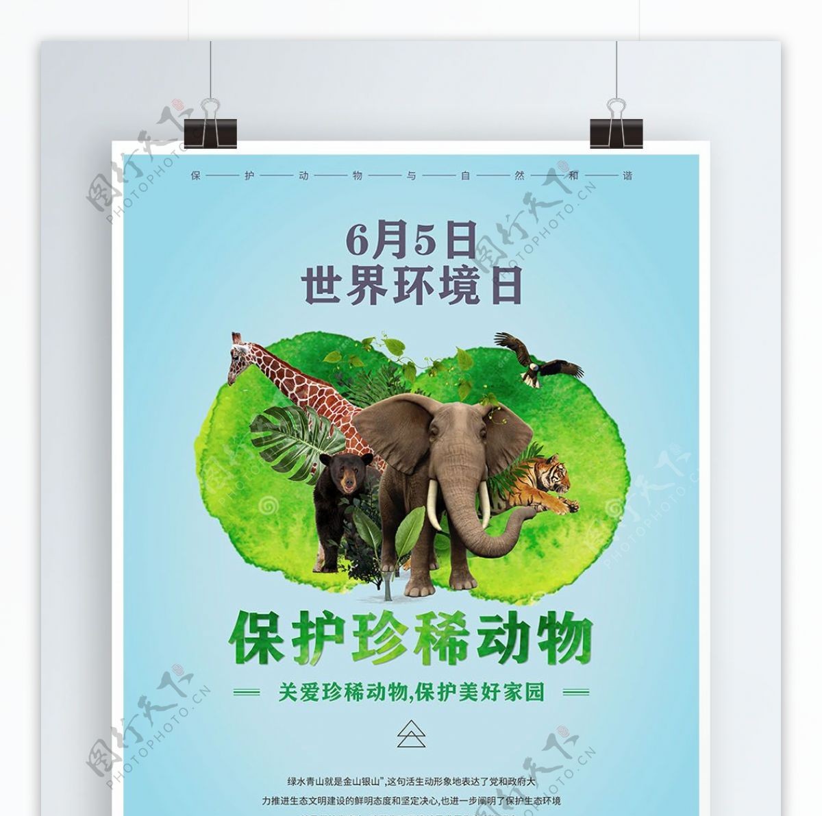 国际珍稀动物保护日海报上传