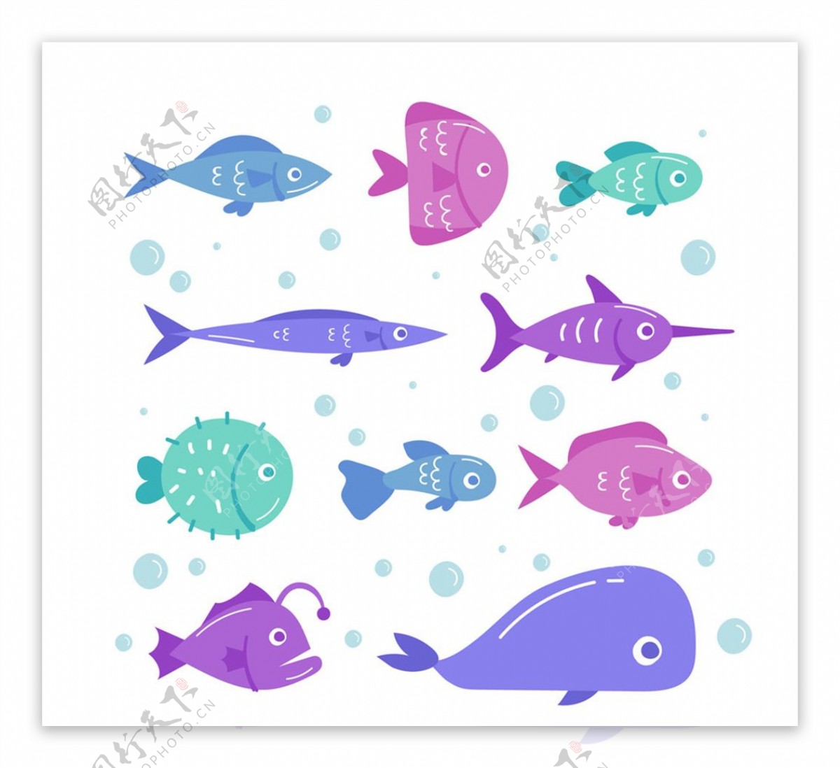 10款彩色海洋鱼类