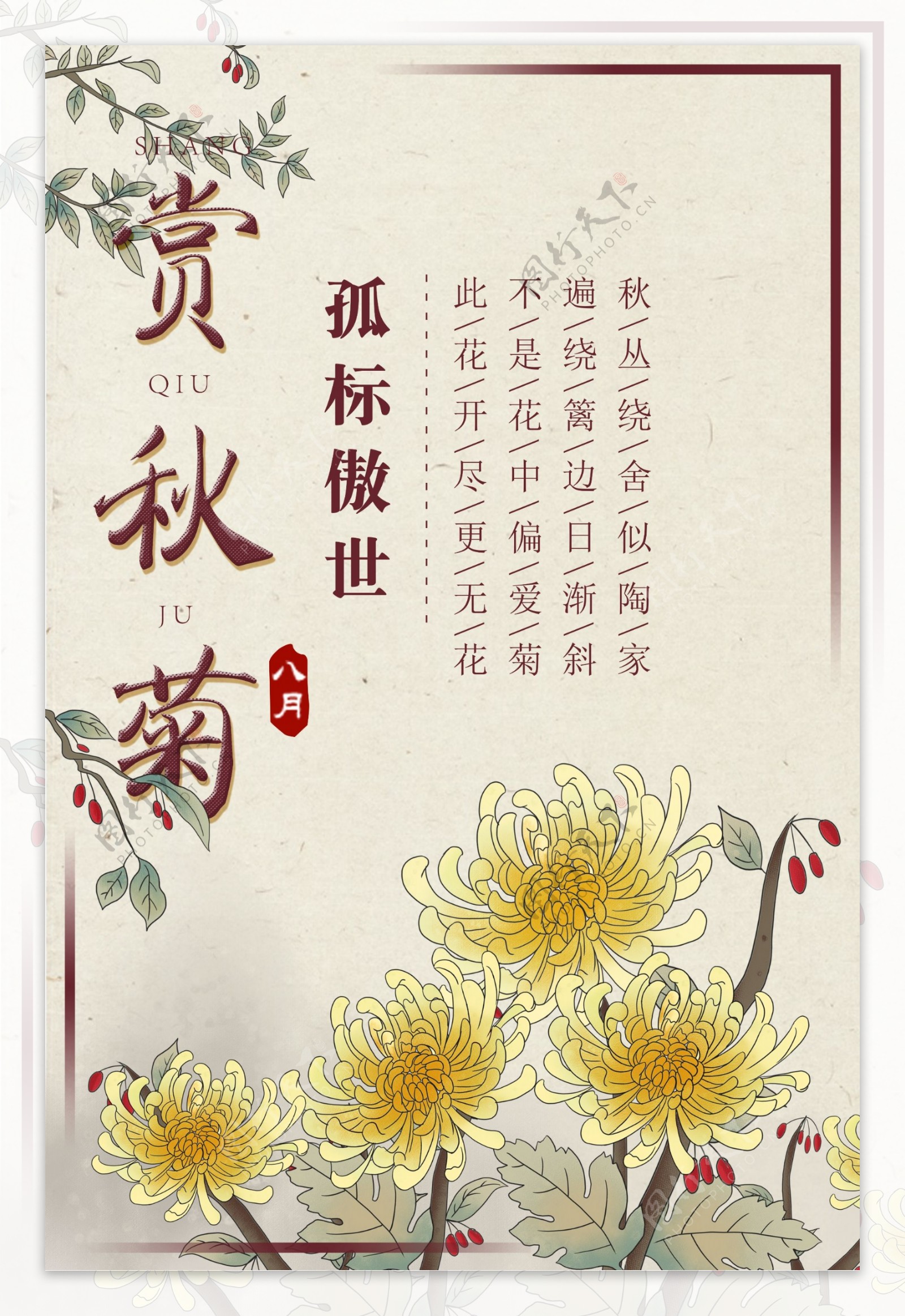 赏秋菊中国风花卉海报