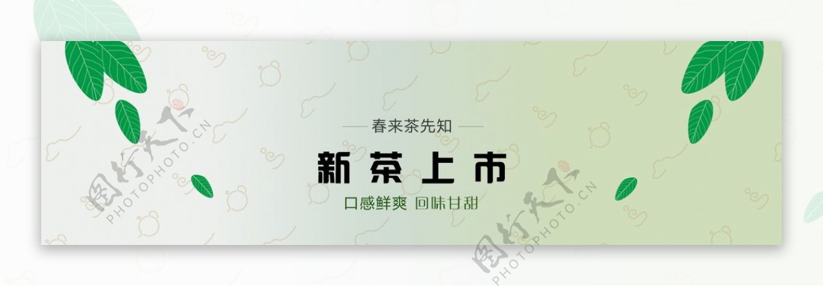 新茶上市banner