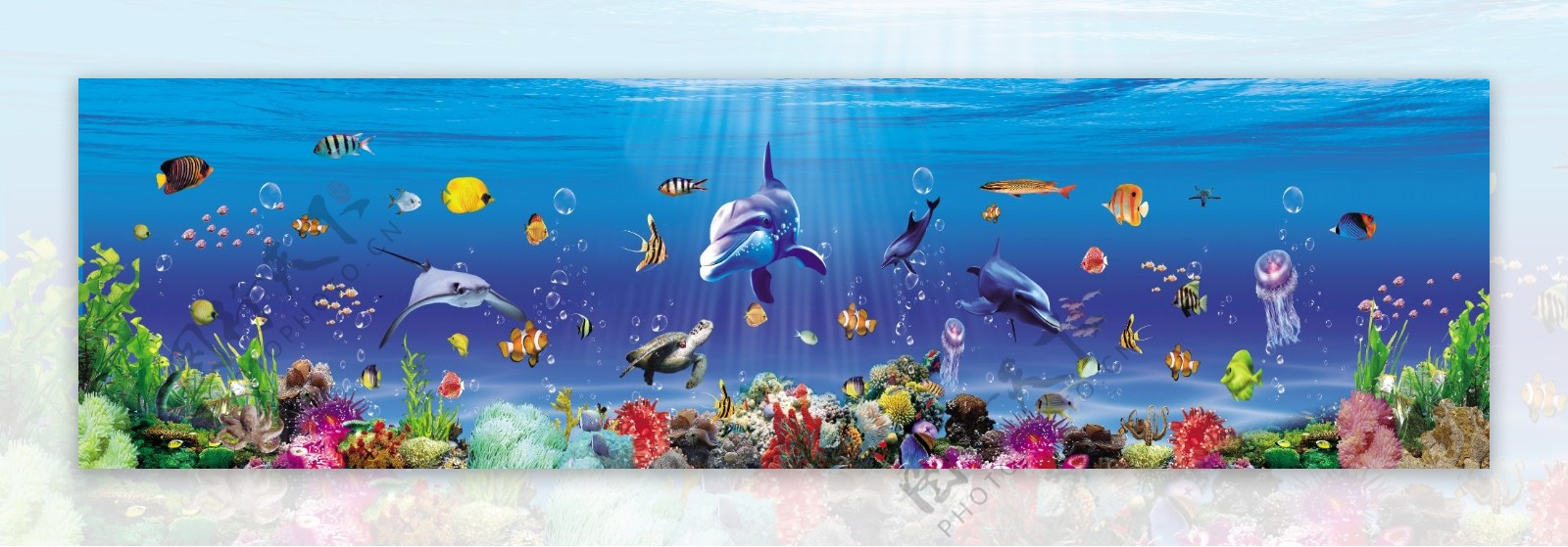 海底世界海报