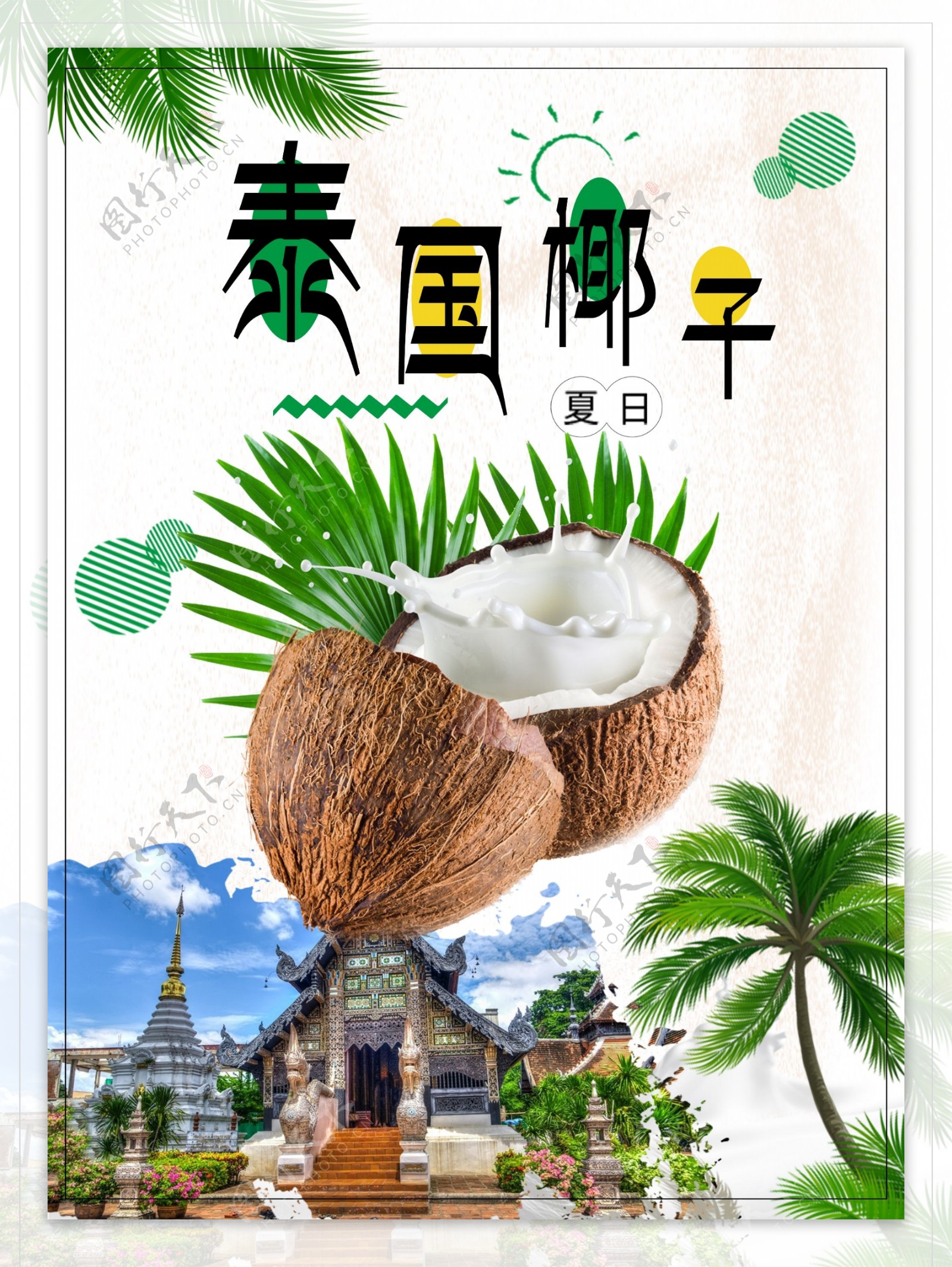 泰国椰子