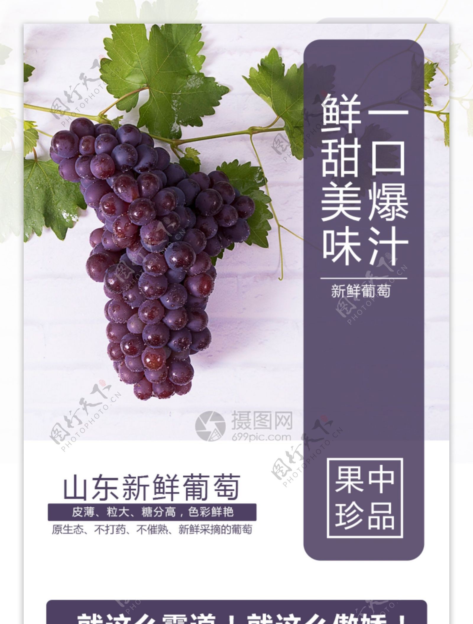 新鲜葡萄水果促销淘宝详情页