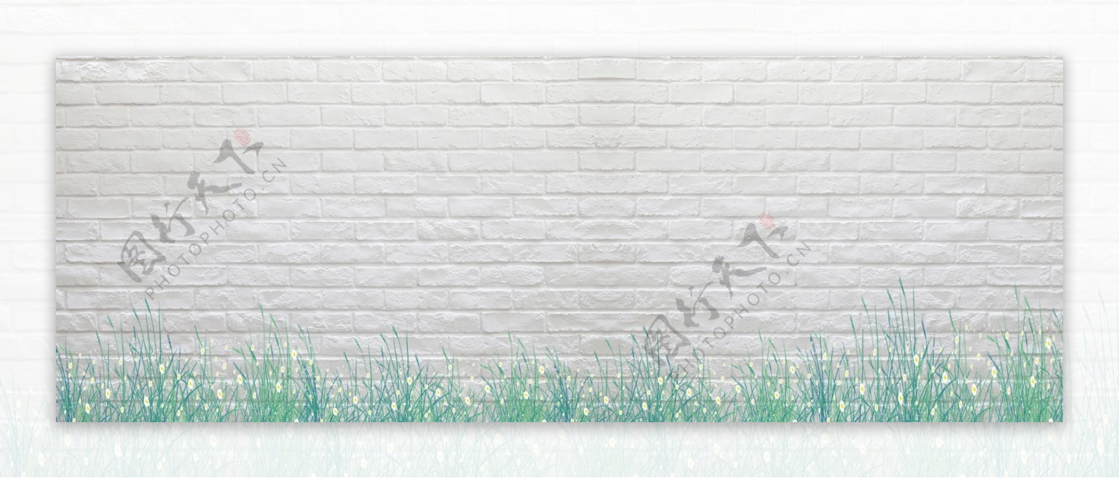 白色砖头背景墙和小草