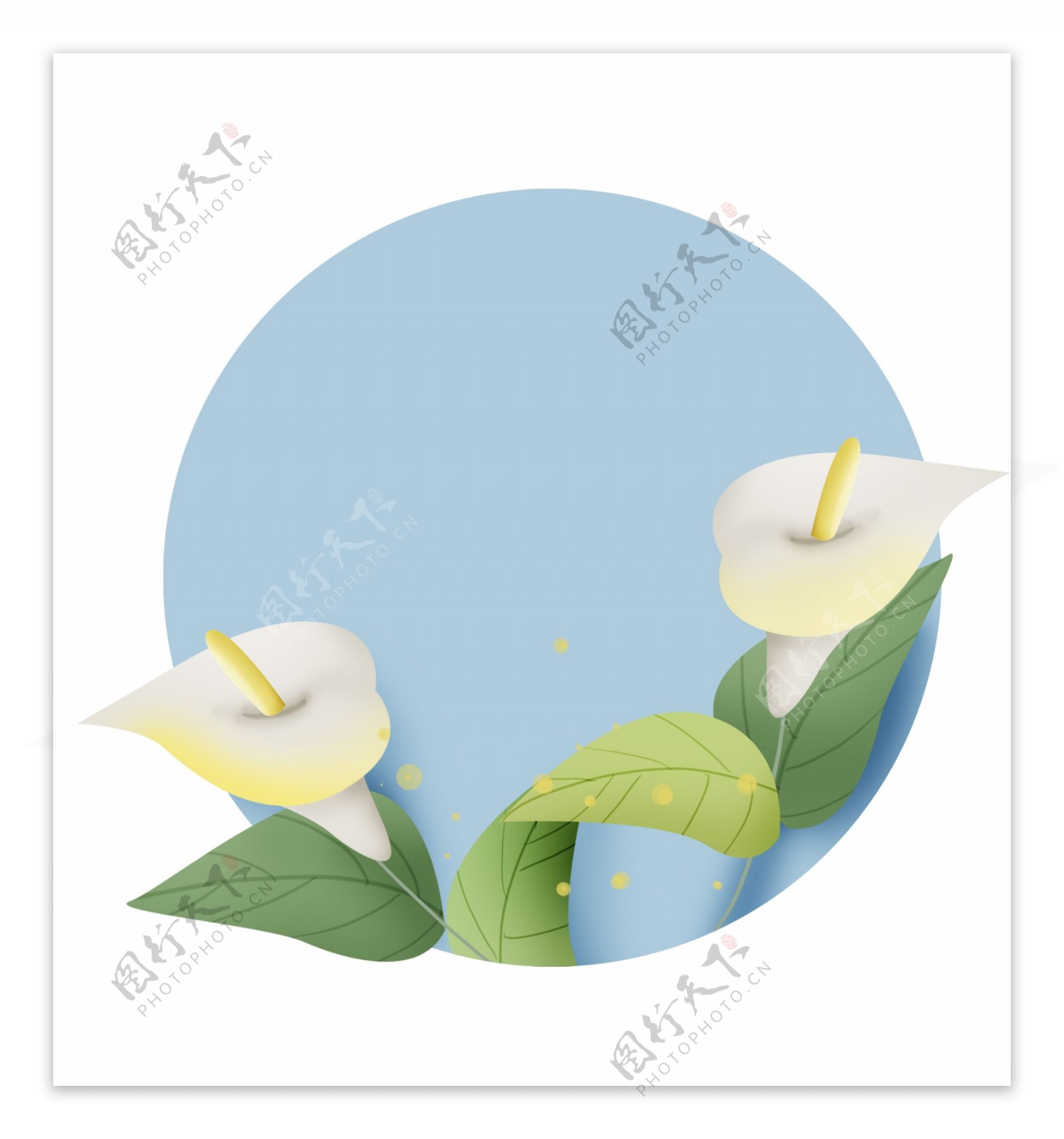 圆形马蹄莲花卉提示框