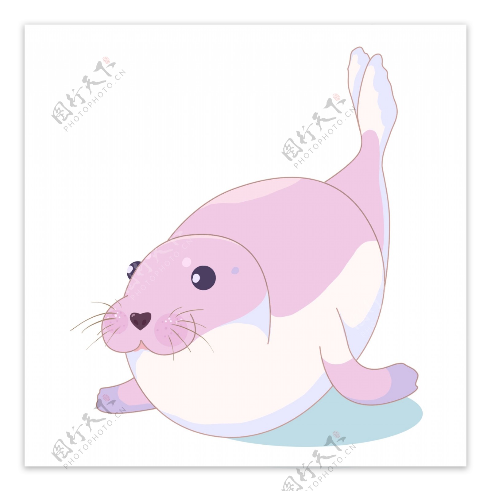 紫色海豹动物