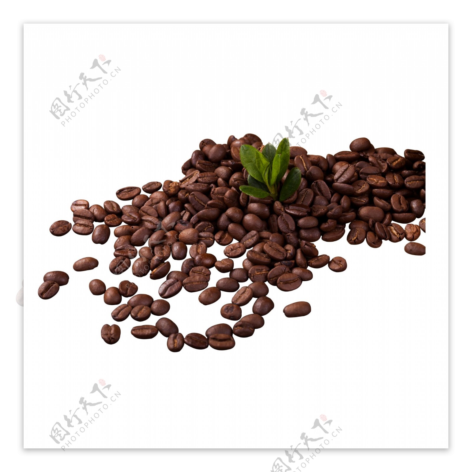 一堆咖啡原料咖啡豆