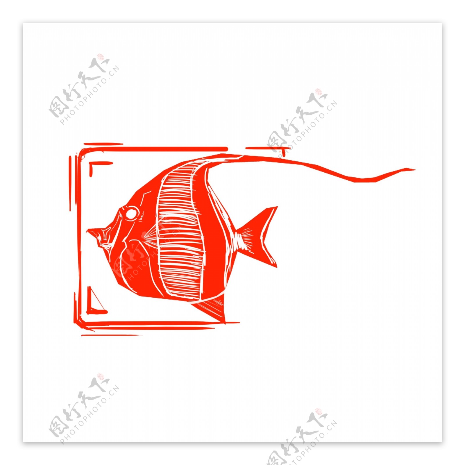 水类角碟鱼印章