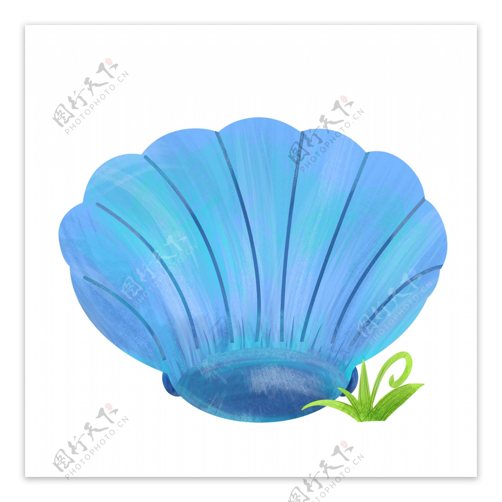 蓝色海洋贝壳