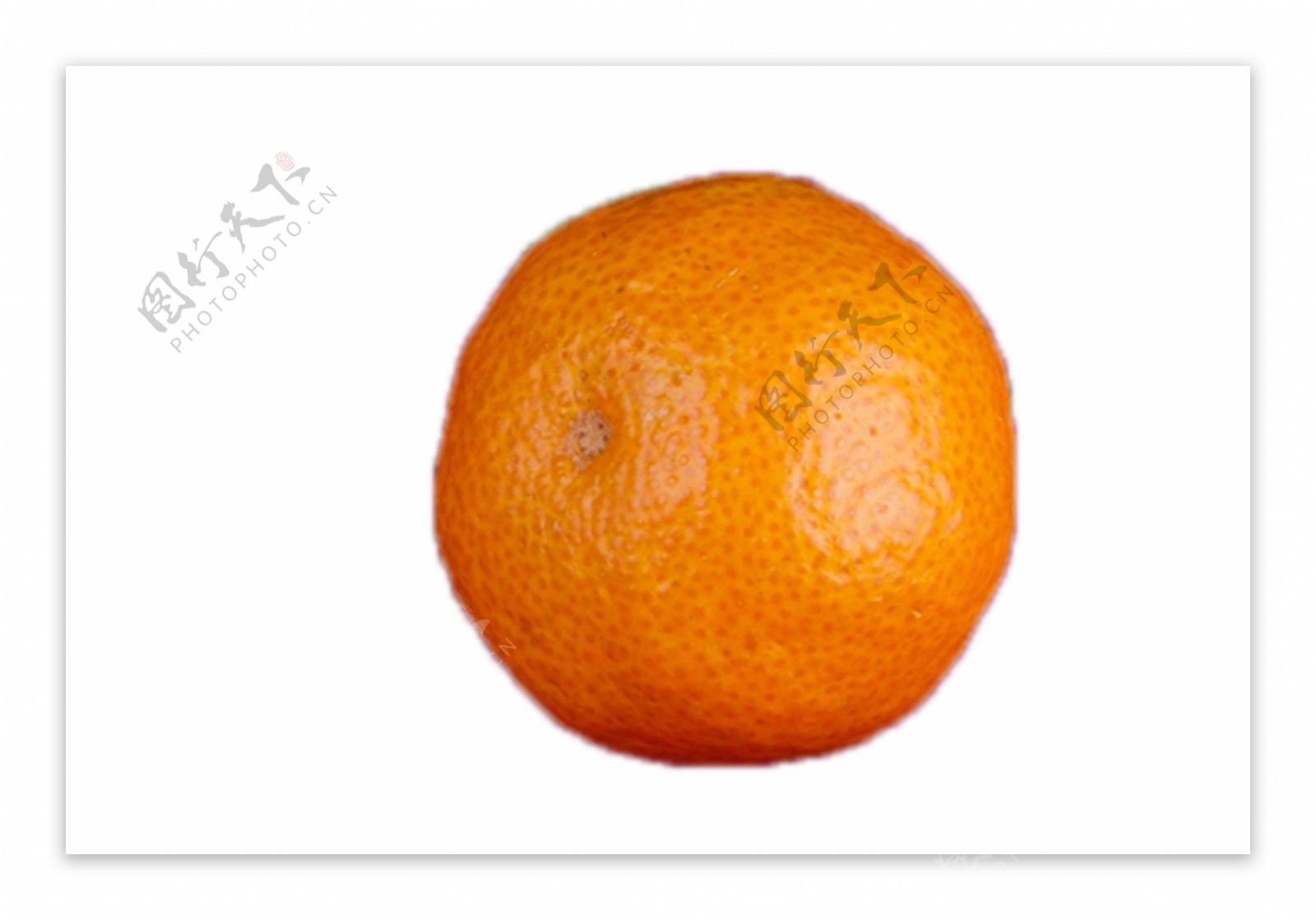 新鲜美味子多的橘子
