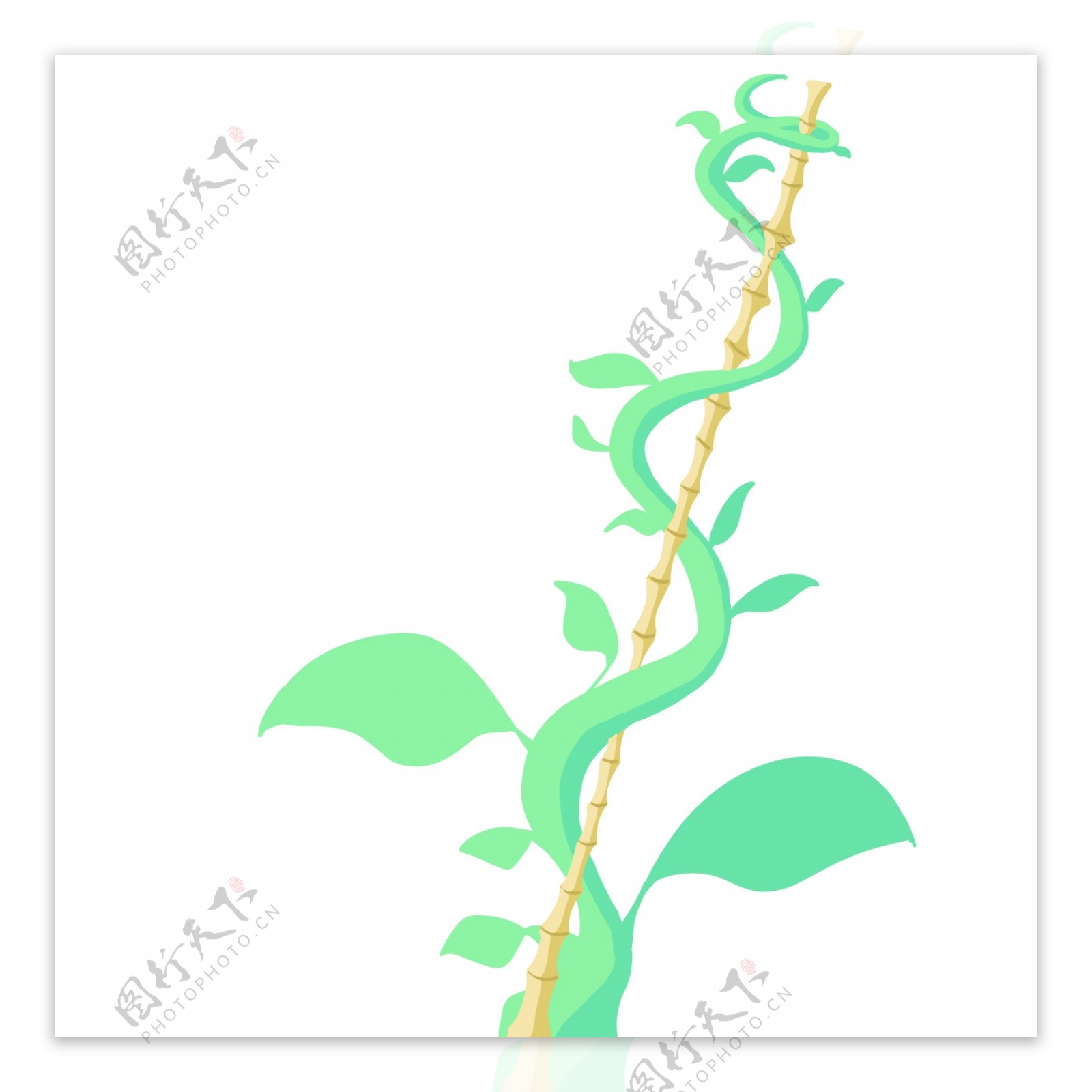 缠绕的绿色植物藤蔓