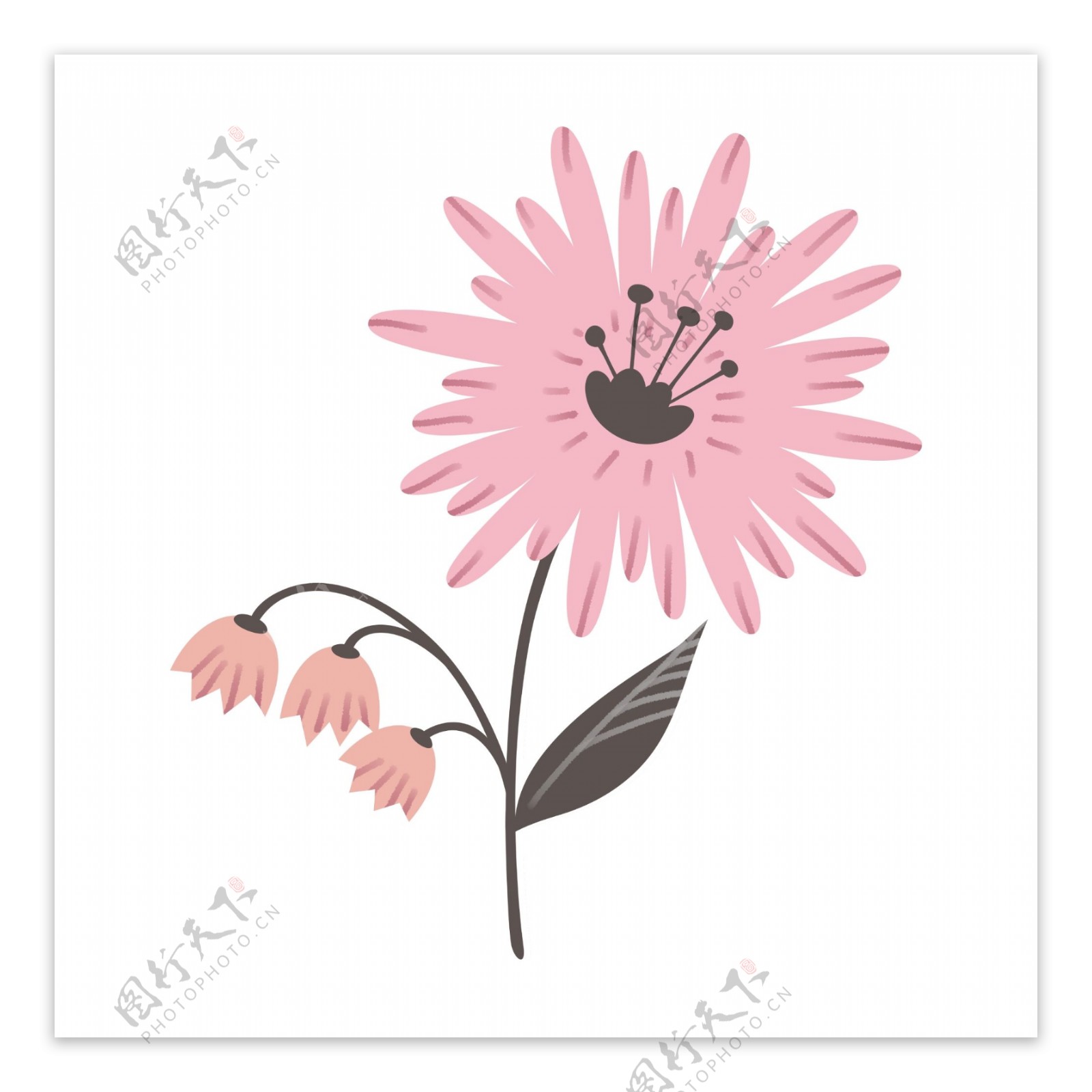 简约的粉红色花朵插图