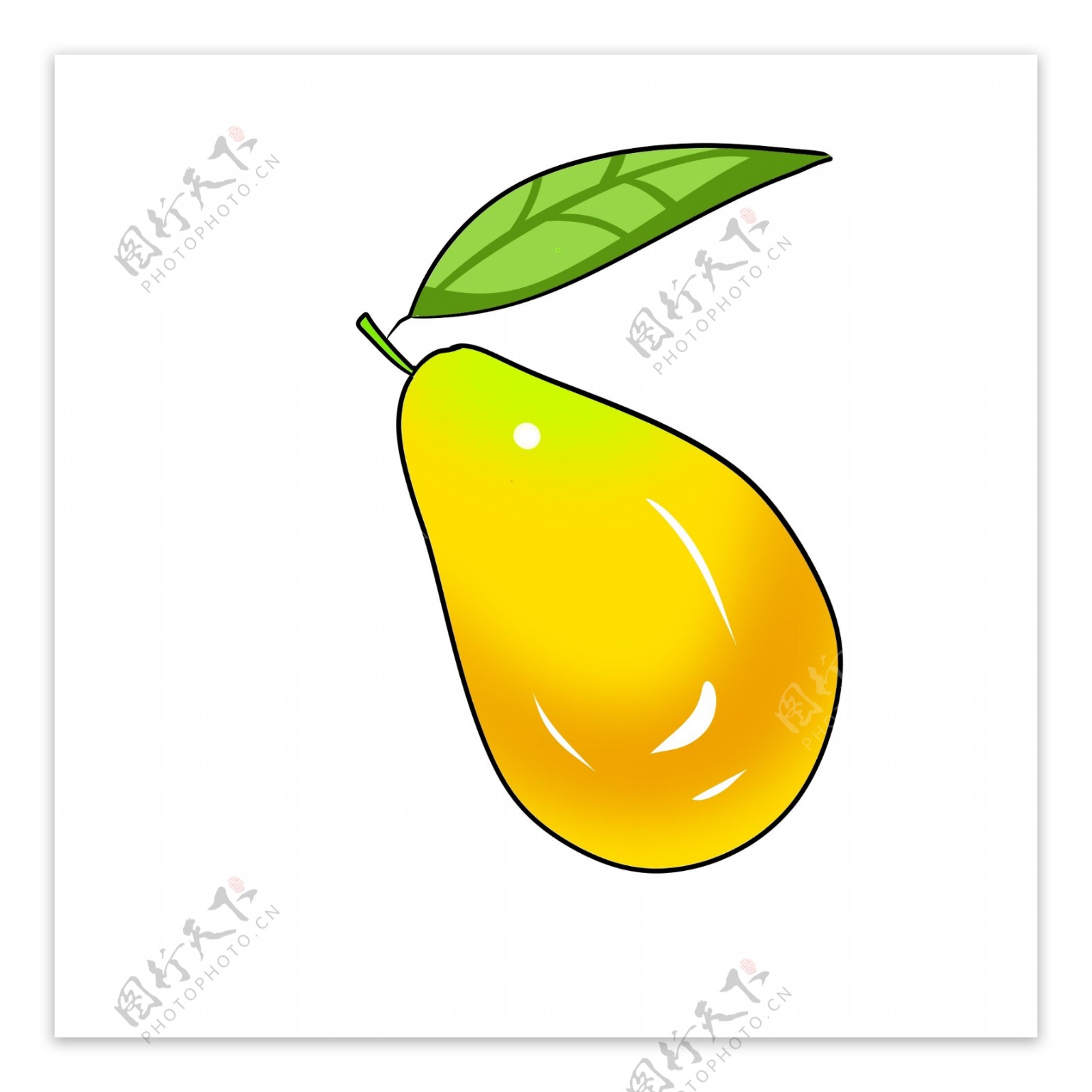 圆形黄色芒果插图