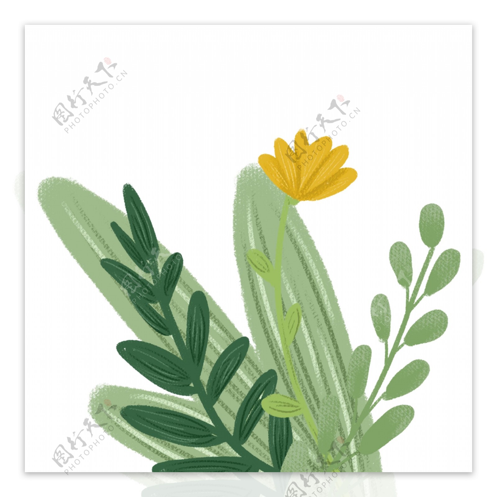 水彩彩绘黄色花朵植物免抠图