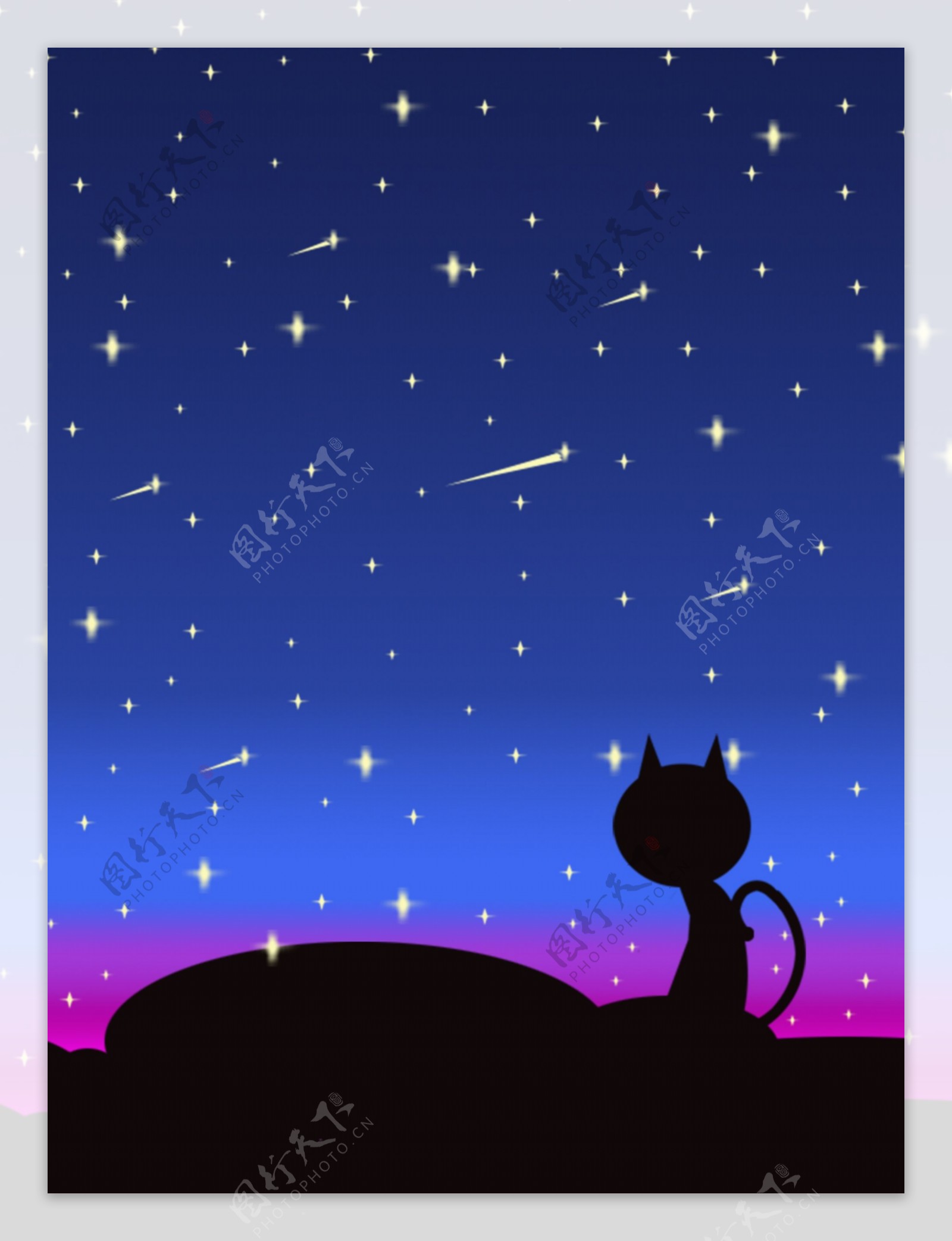 夜空下失眠的猫背景