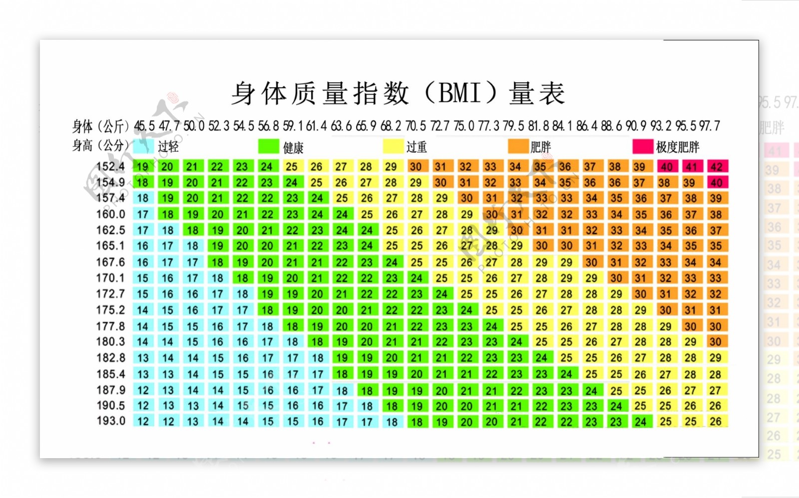 体质表