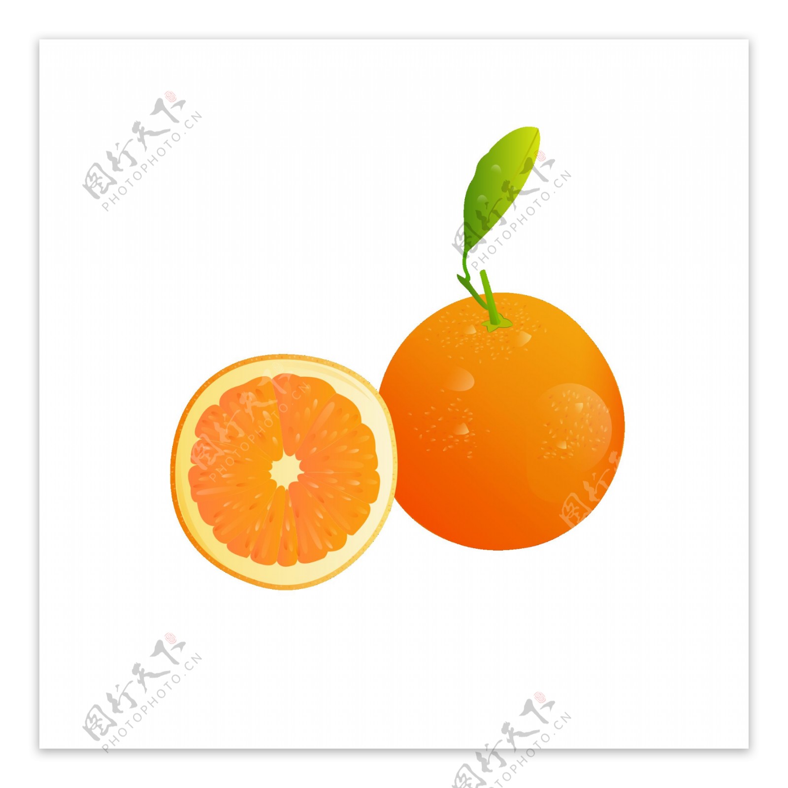 矢量水果元素之橙子