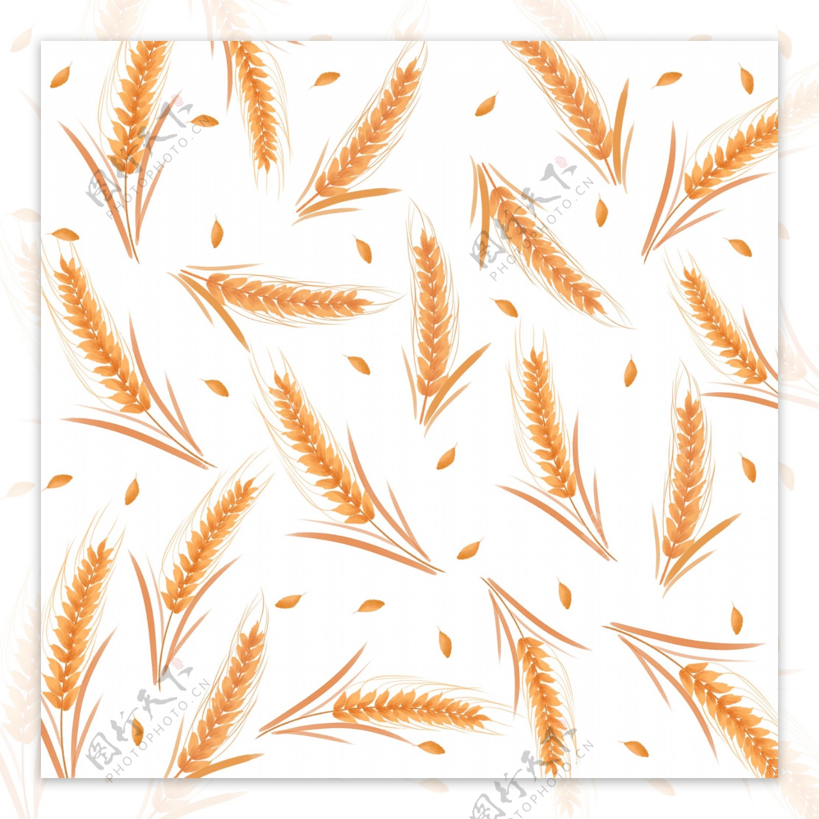 创意小清新手绘风小麦装饰图案