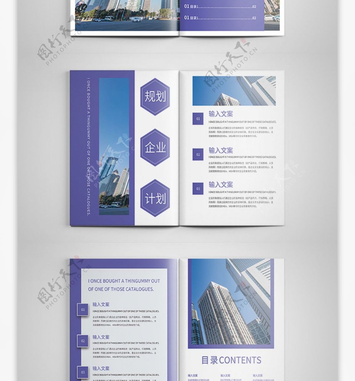 整套蓝色大气企业文化宣传画册