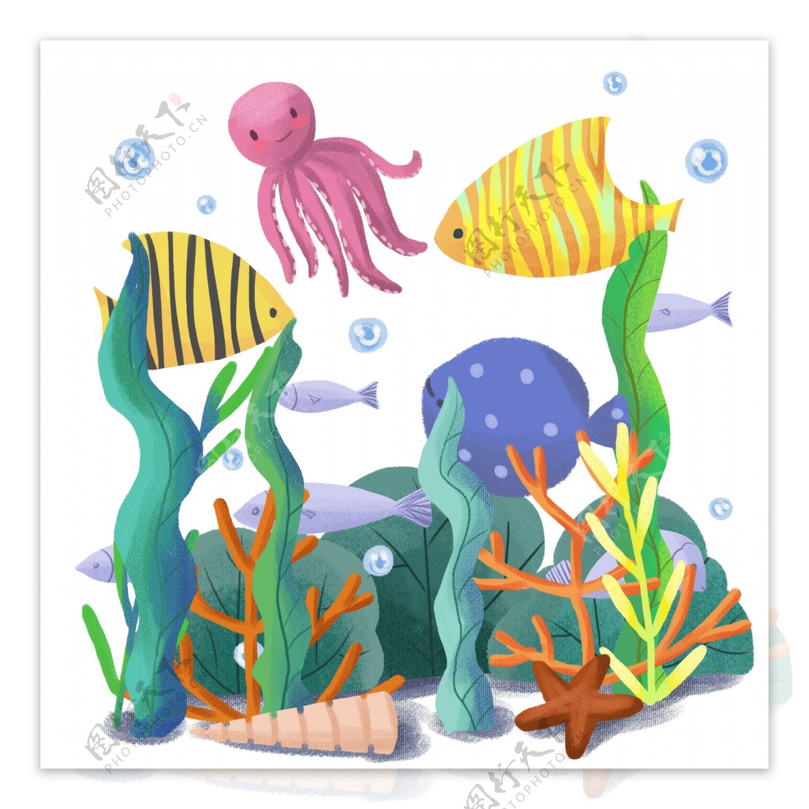手绘可爱卡通动物海洋海底世界鱼类水草