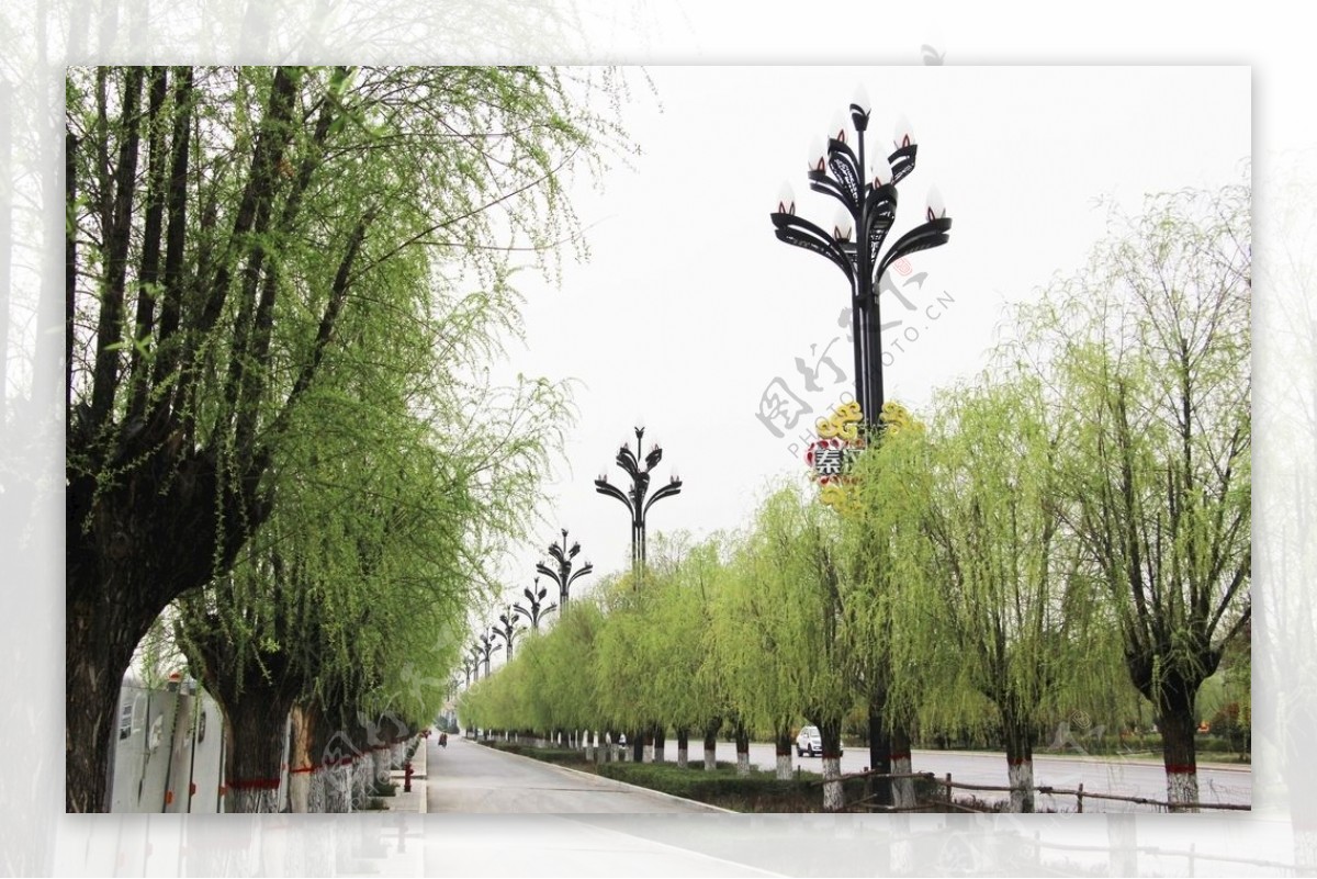 秦汉新城绿溢春
