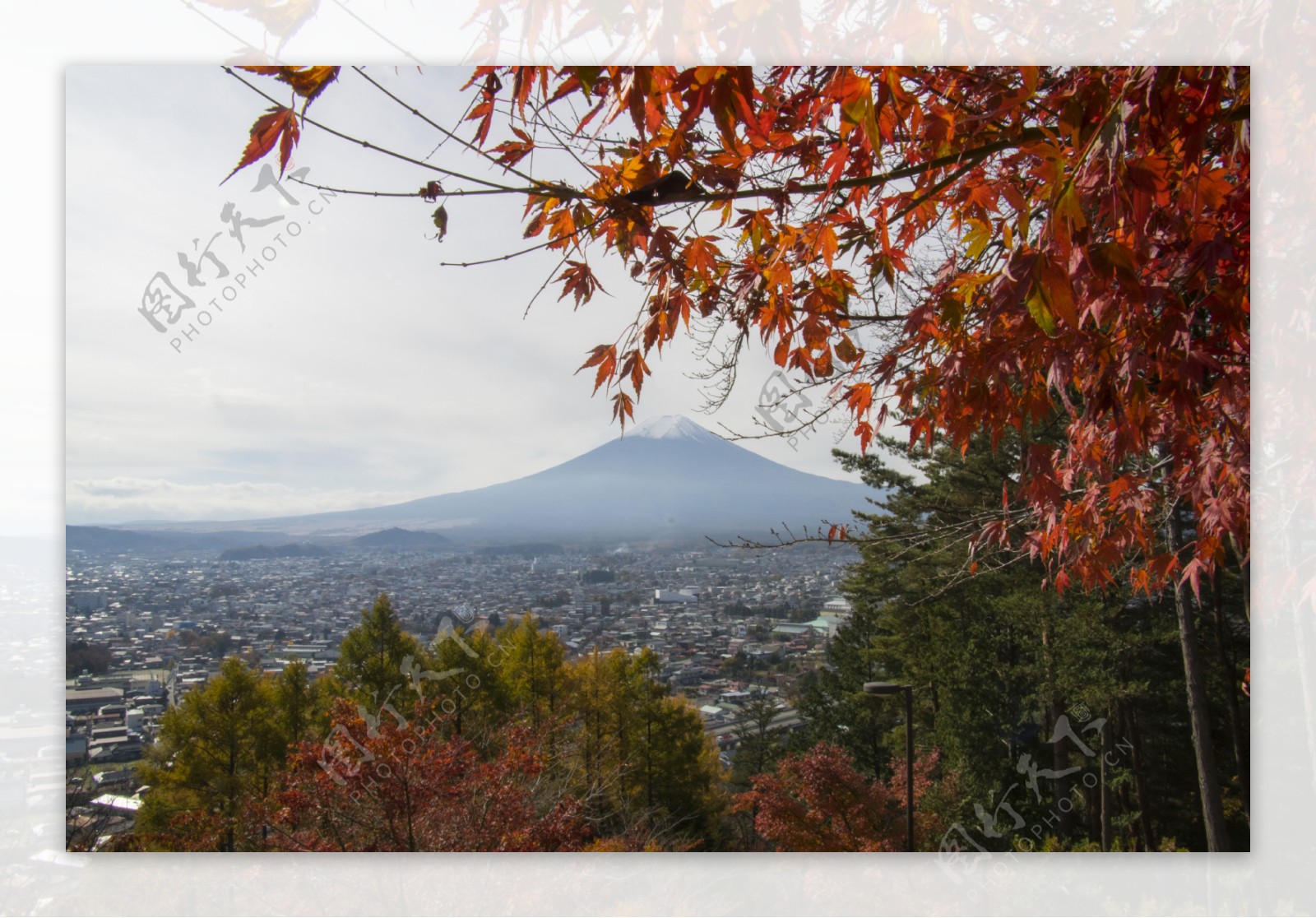 富士山