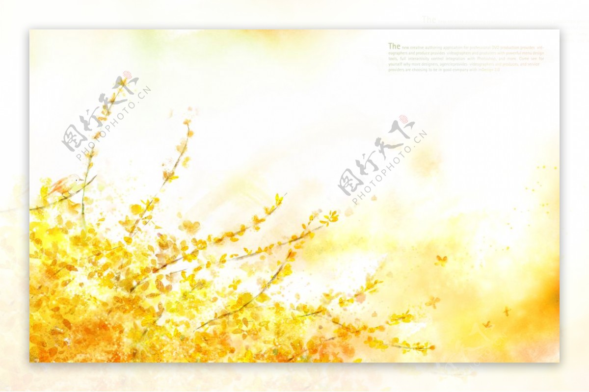 秋季金黄树叶素材