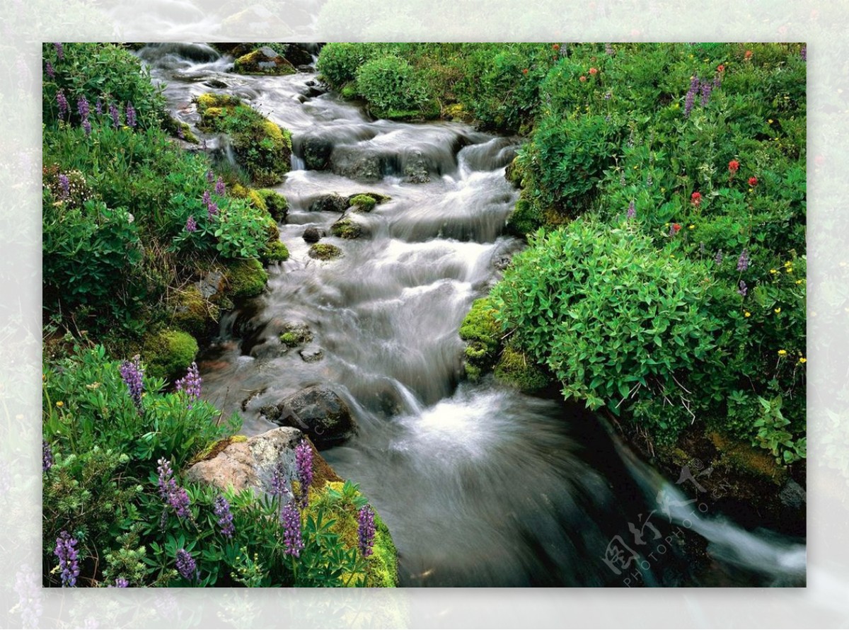 森林小溪高山流水