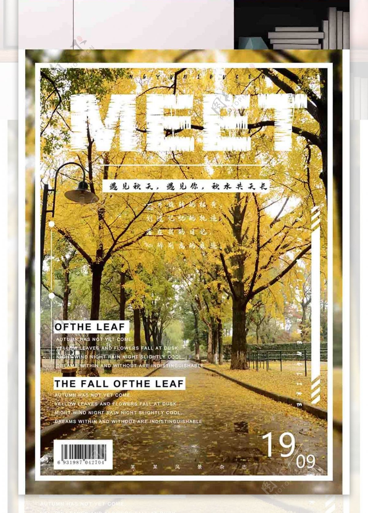 秋日风景杂志封面设计封面排版设计