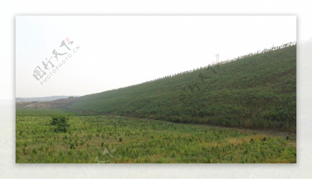 露天煤矿挡土坝