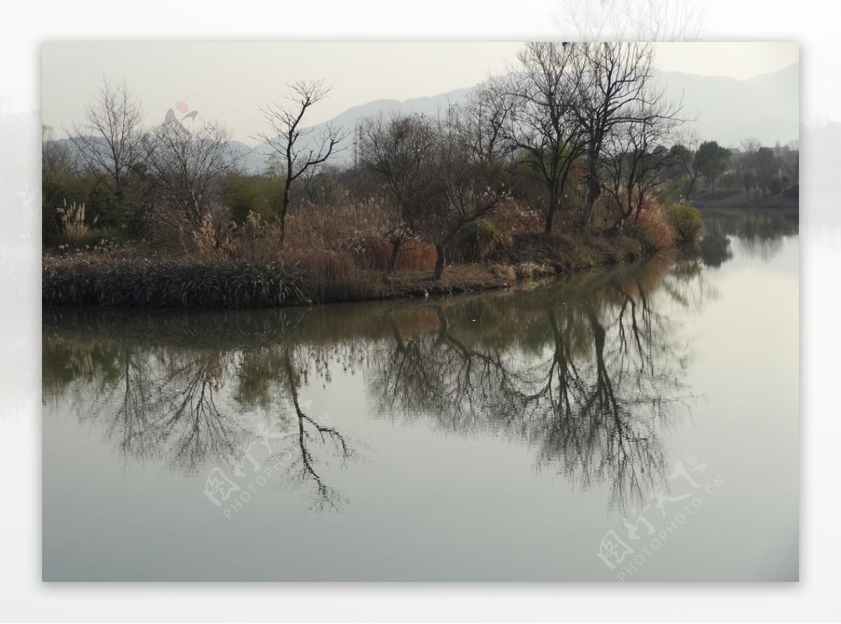 西溪湿地实景拍摄西溪