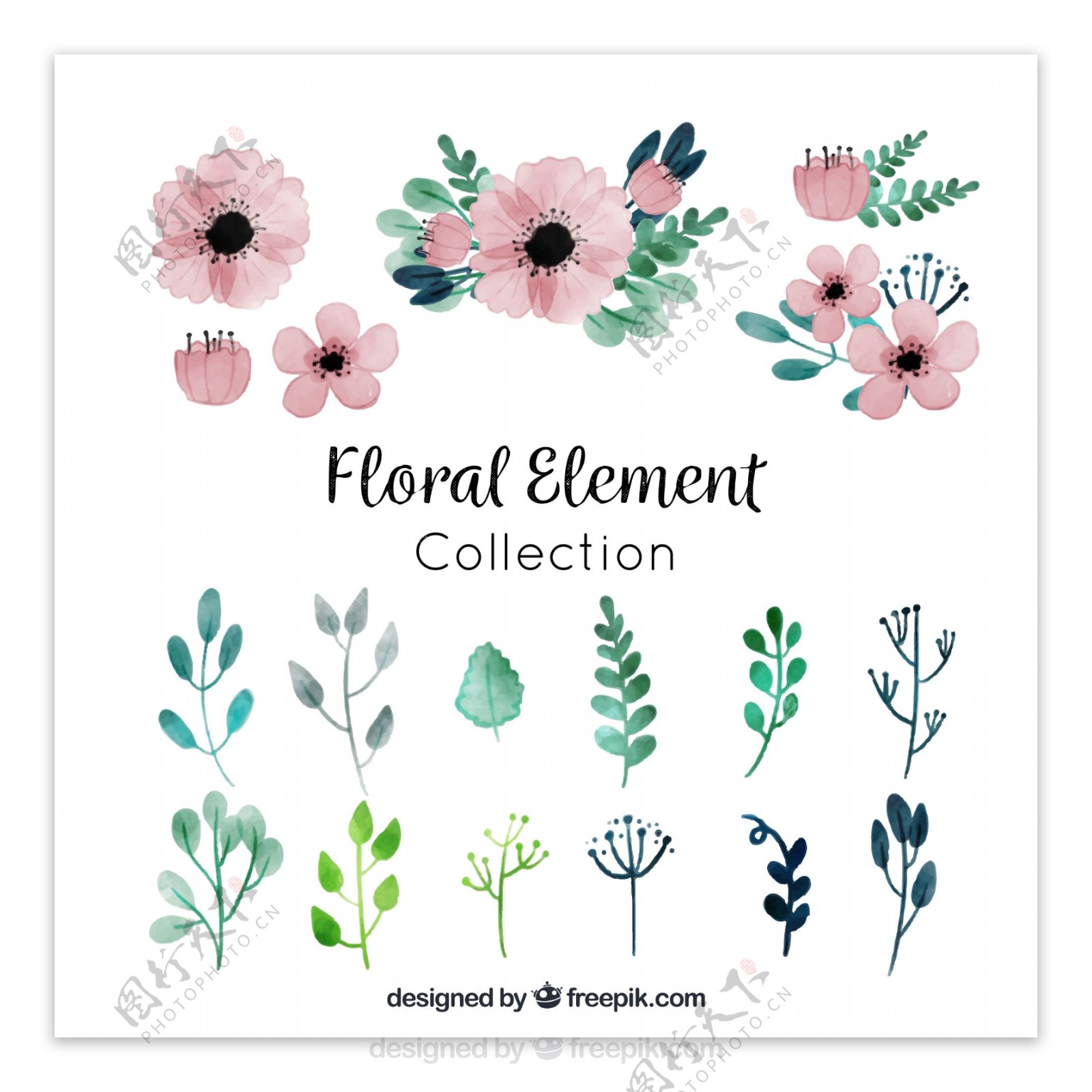 18款彩绘花卉和树叶矢量素材