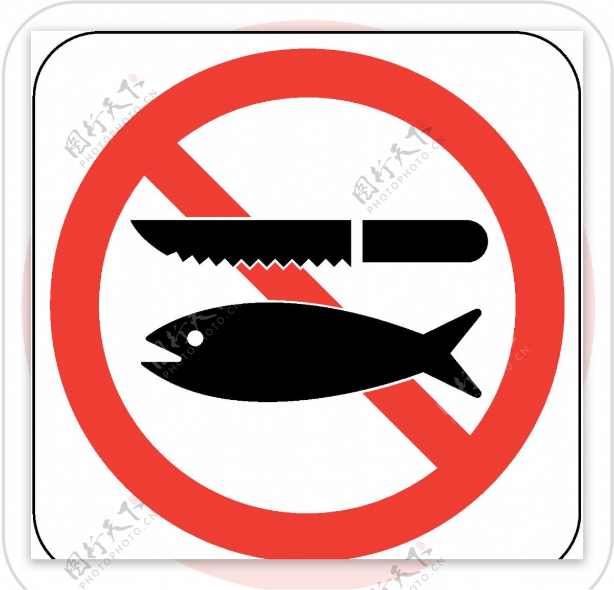 禁止杀鱼