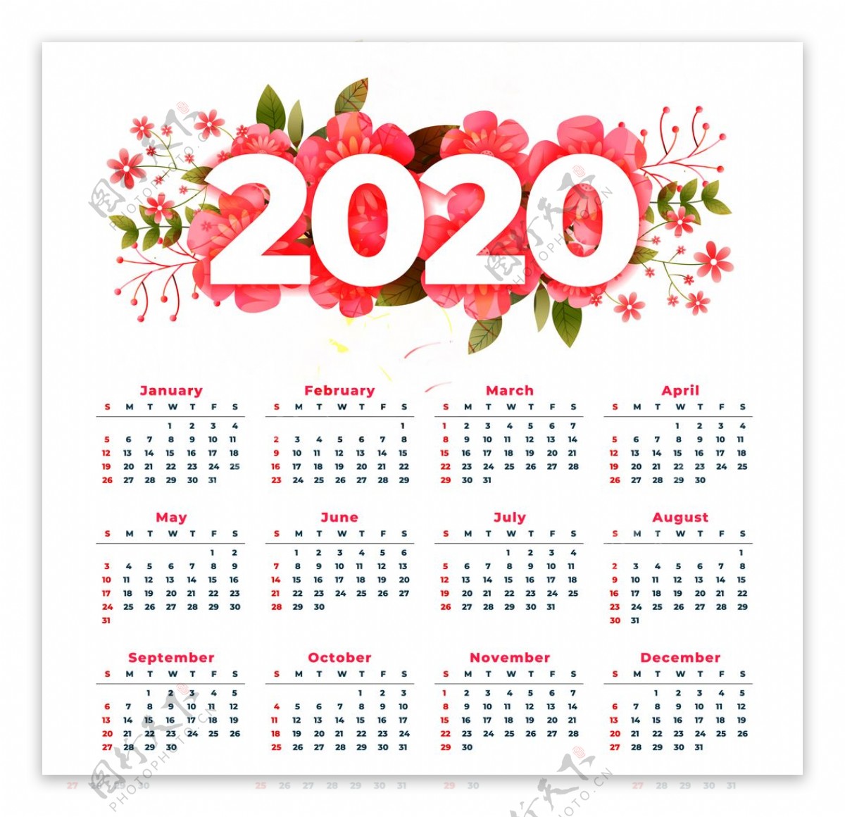 喜庆花卉2020年新年日历