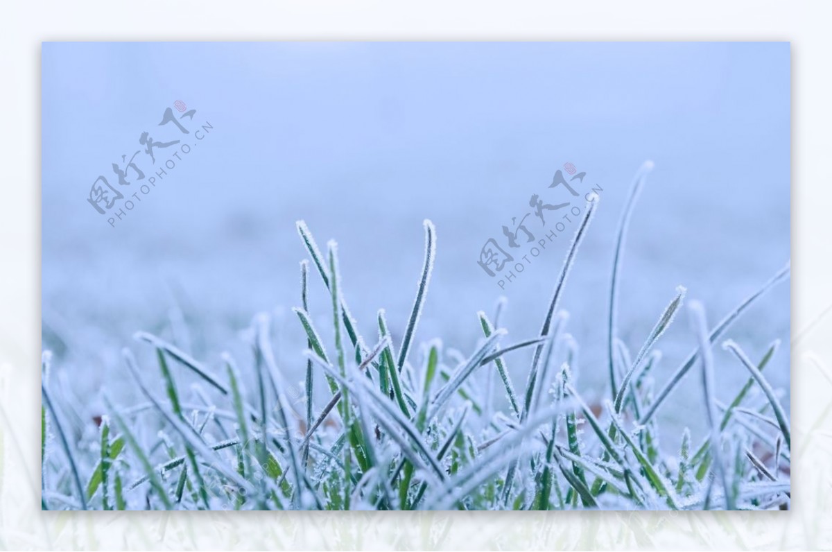 被小雪覆盖的草地