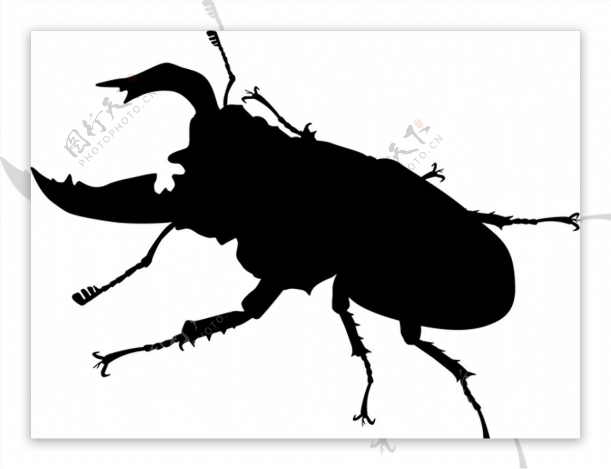 昆虫系列锹形虫剪影