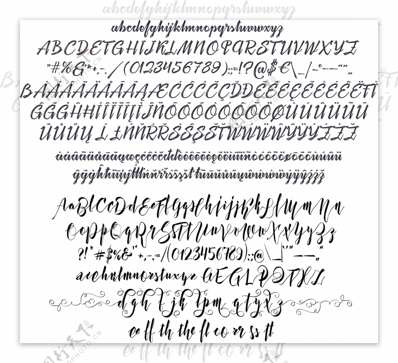 书法艺术刷子英文字体