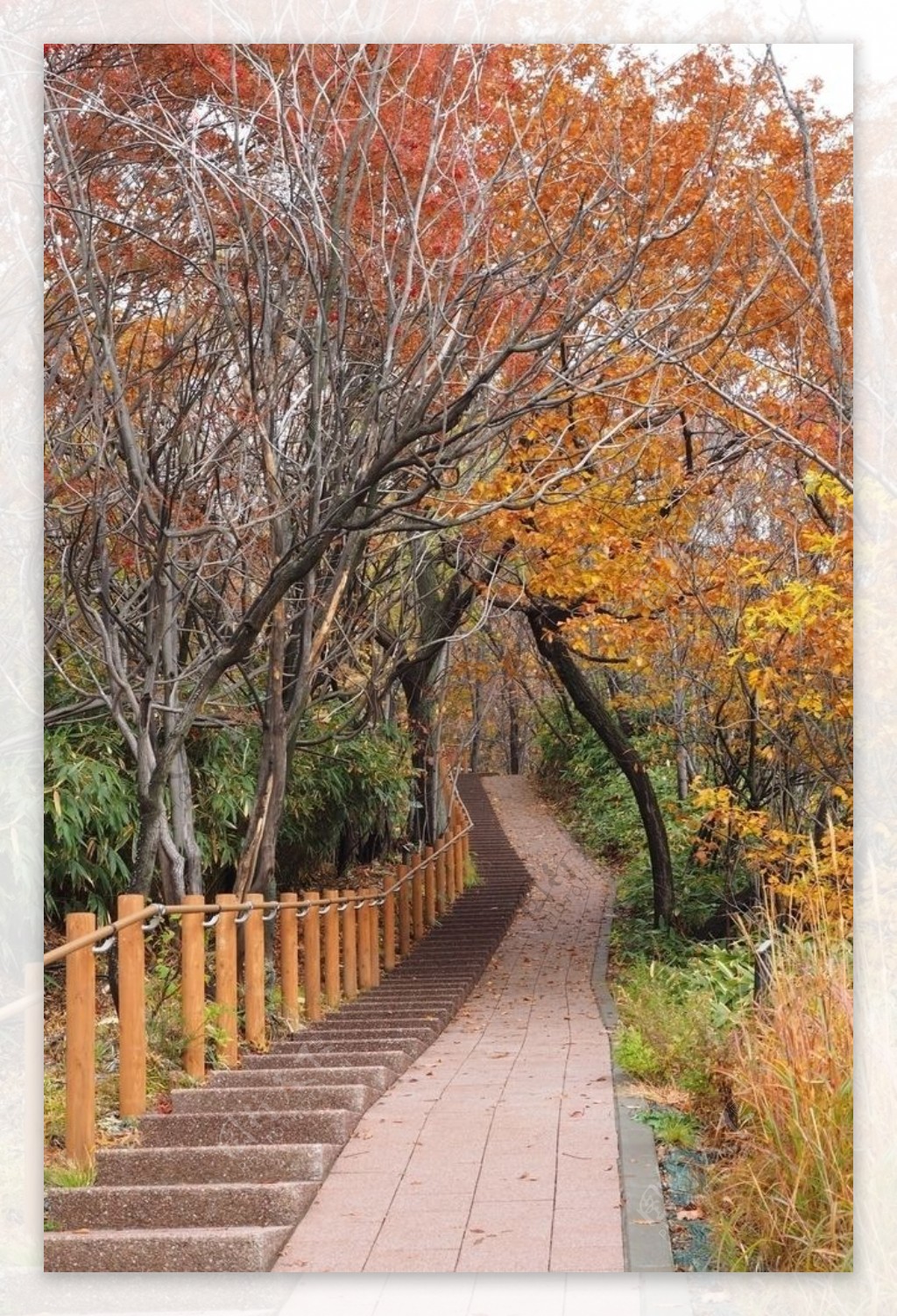 秋天公园步道