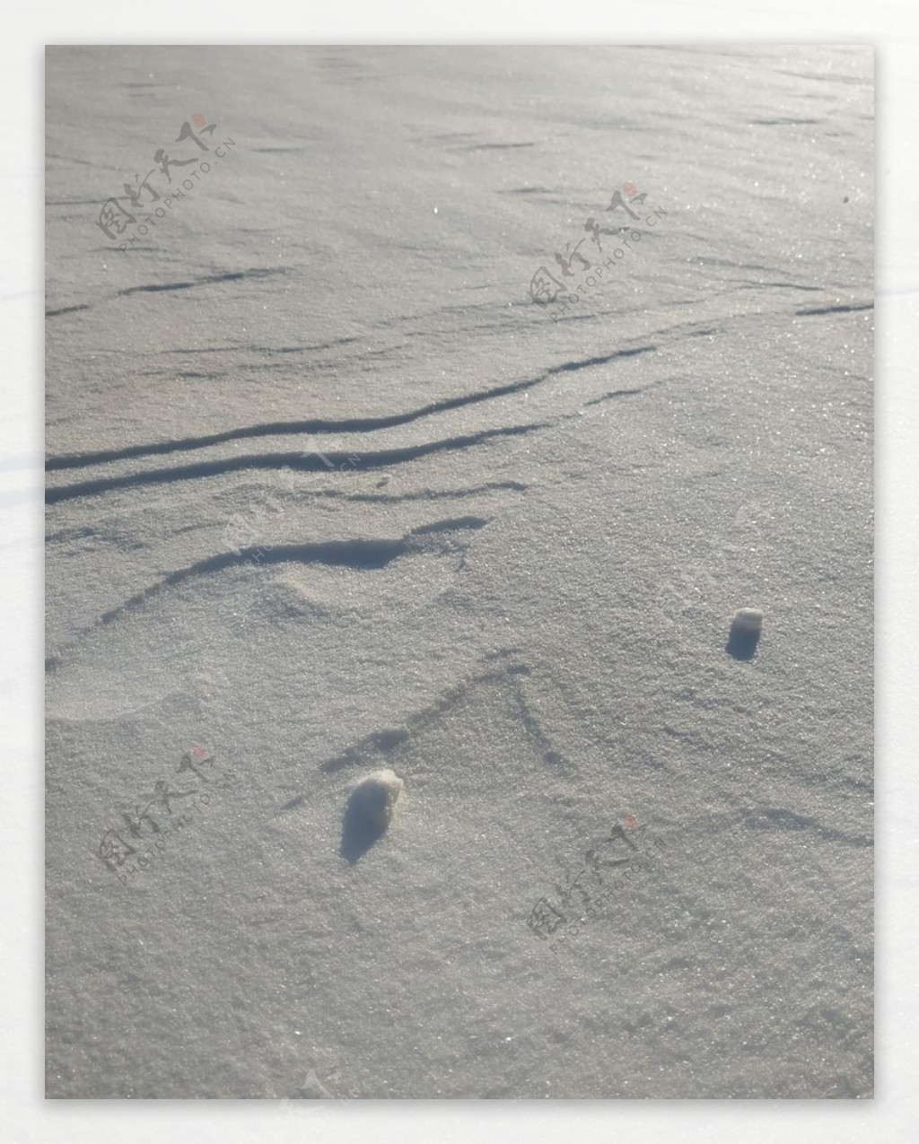 雪的印记雪地东北冬天冬