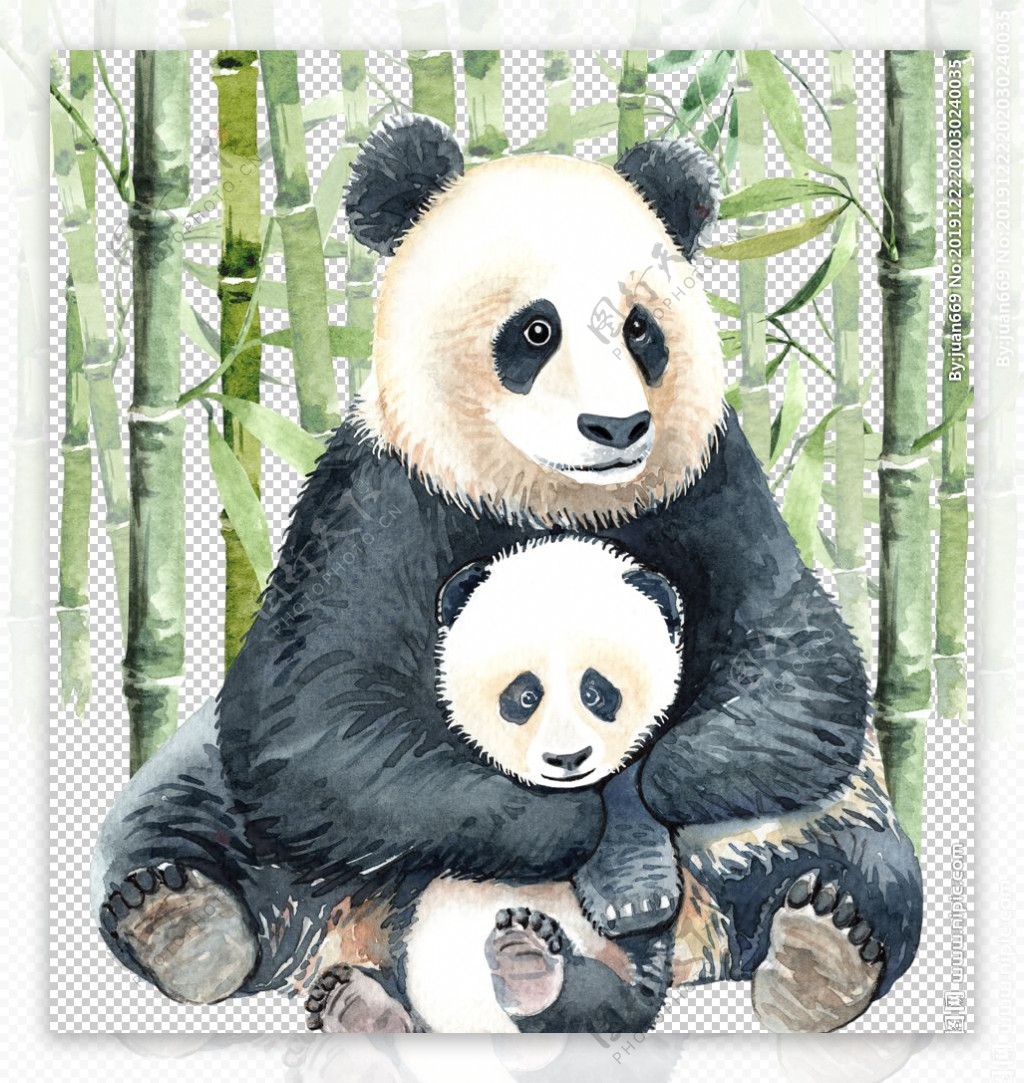 熊猫和竹林